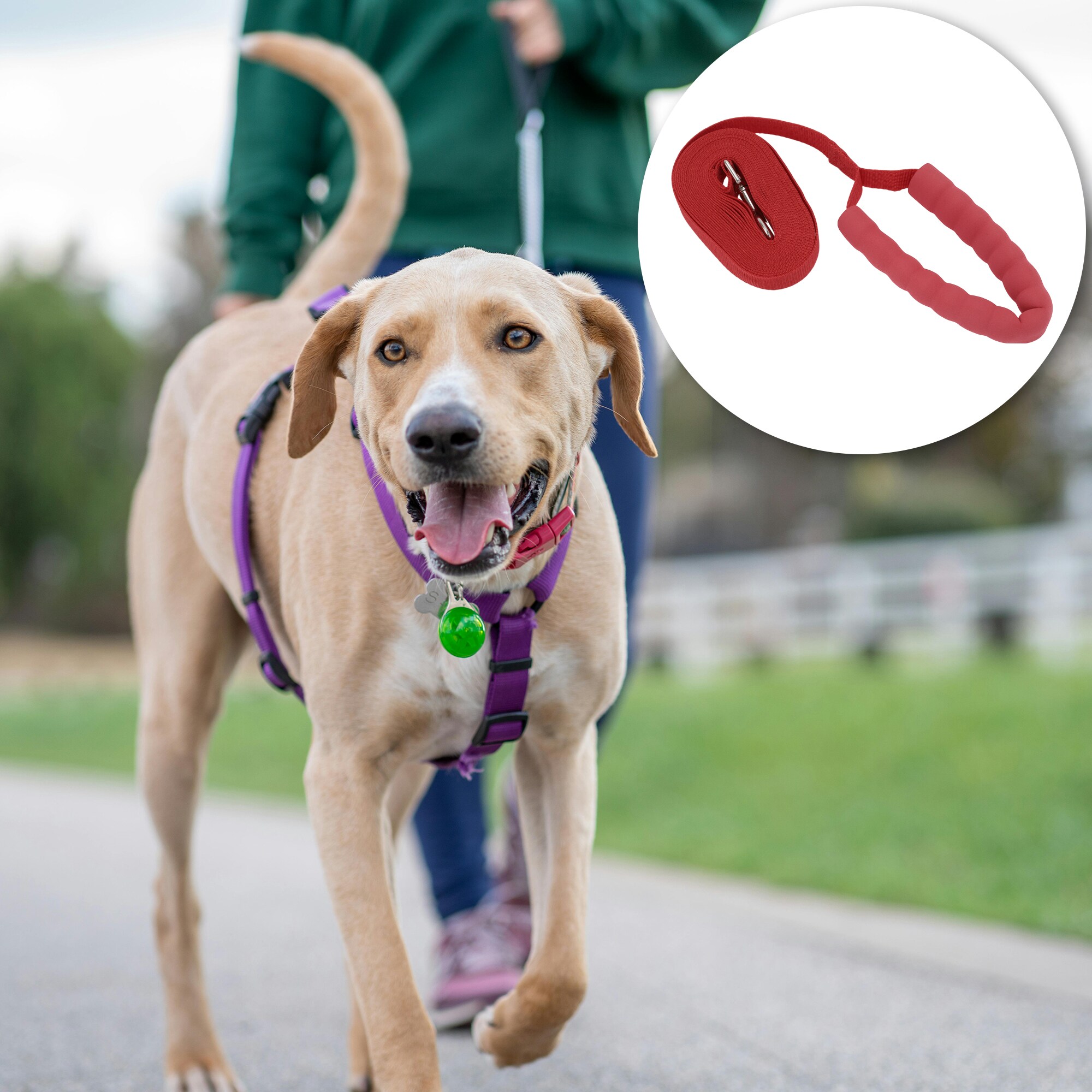 Unique Bargains Training Dog Leash 19.7ft Long Puppy Leashes with Foam ...