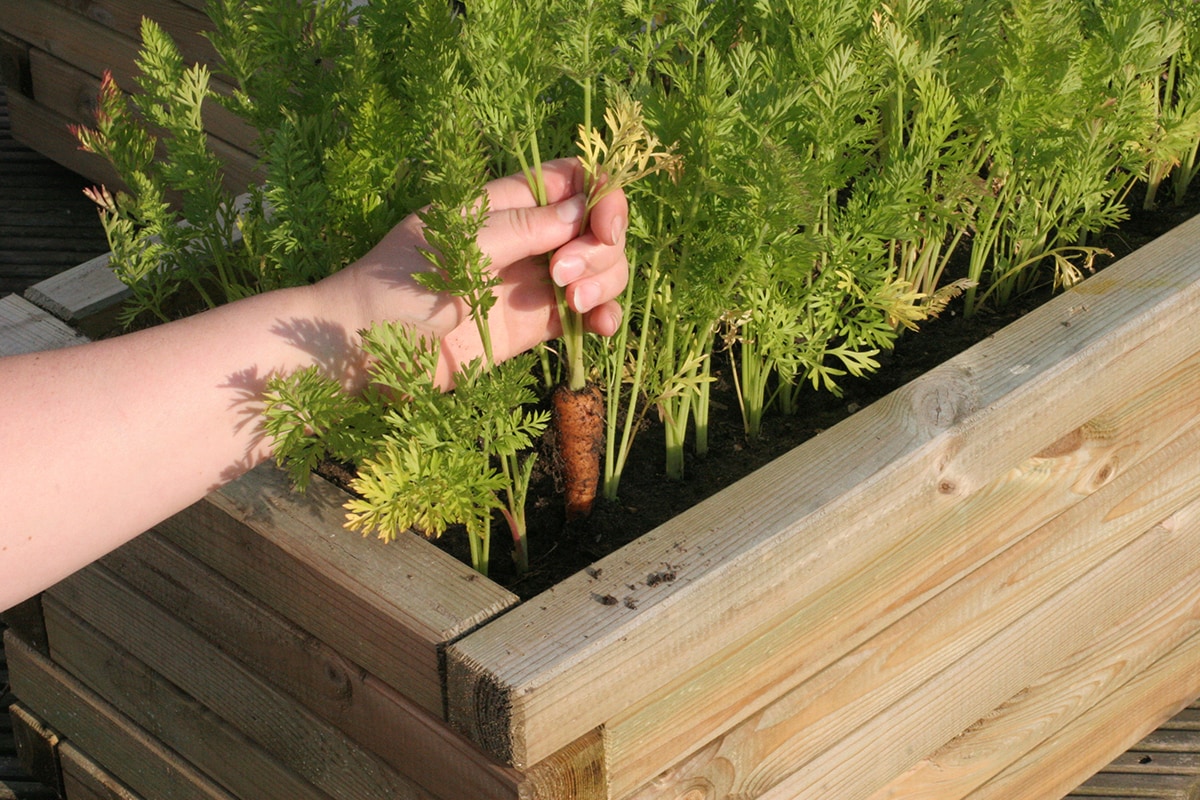  S1ORG-1CF-HL Garden-Soil-Soil-Amendments - View #4