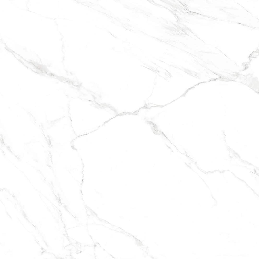 The Tile Life TNAOS2424 Ceramic-Tile - View #4