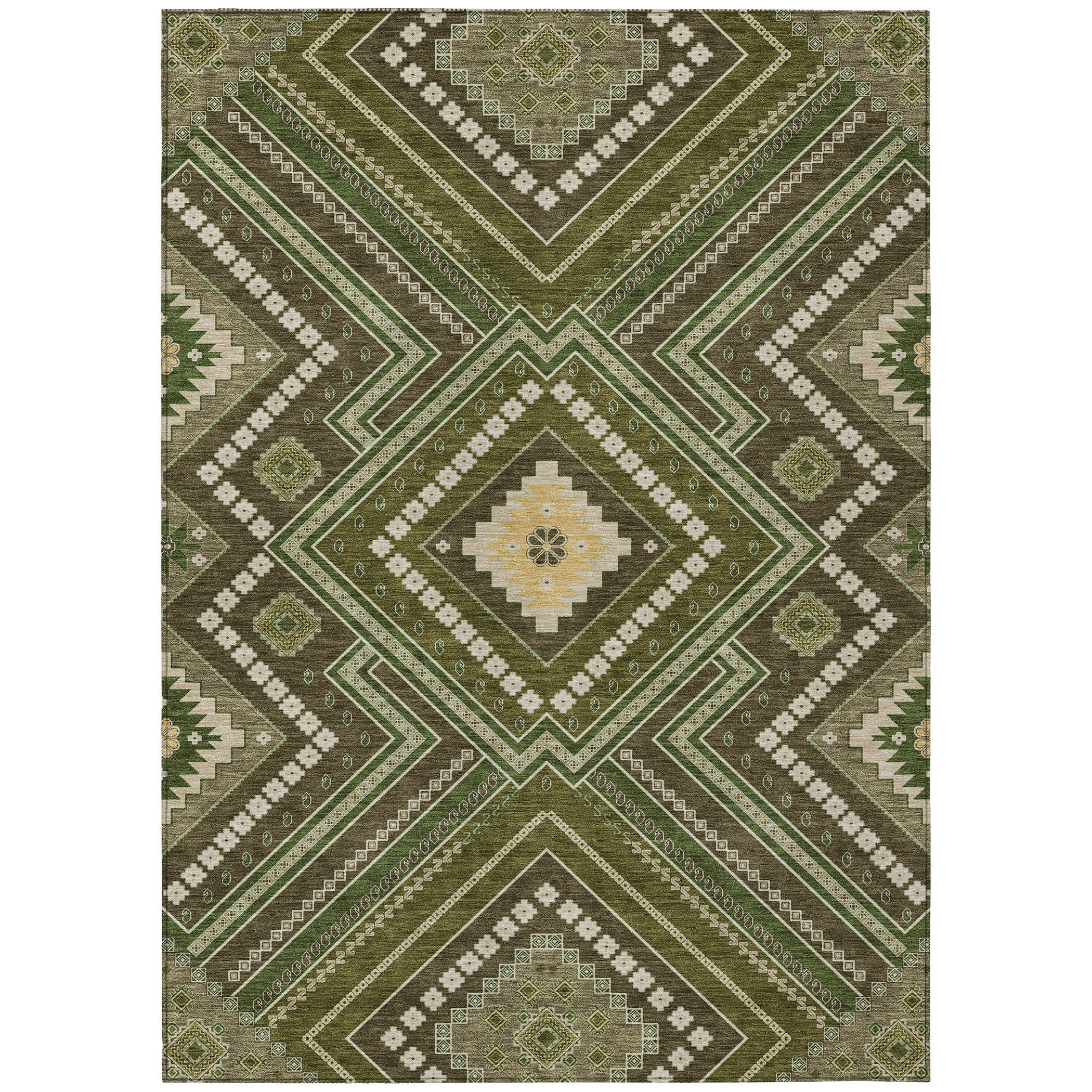 Addison Rugs ACN1010OL30X46 rugs - View #2