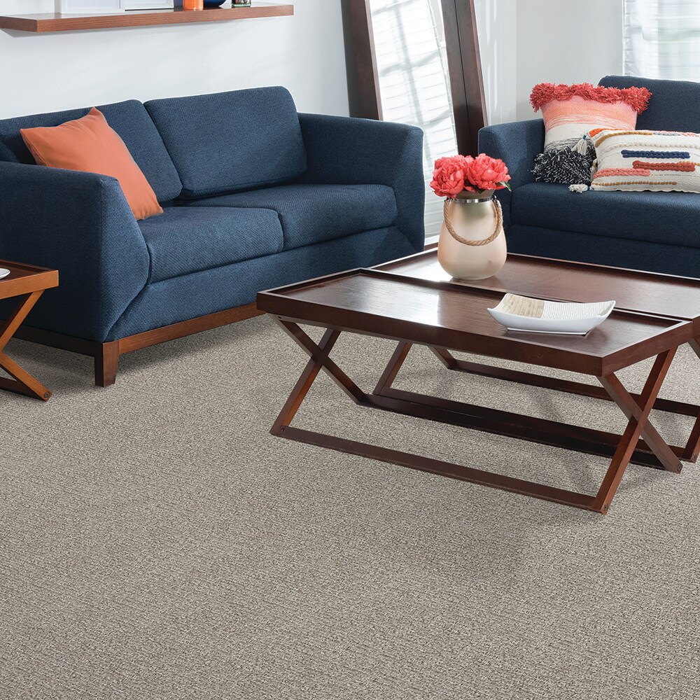  SS028-12-L003 Carpet-Panel - View #2
