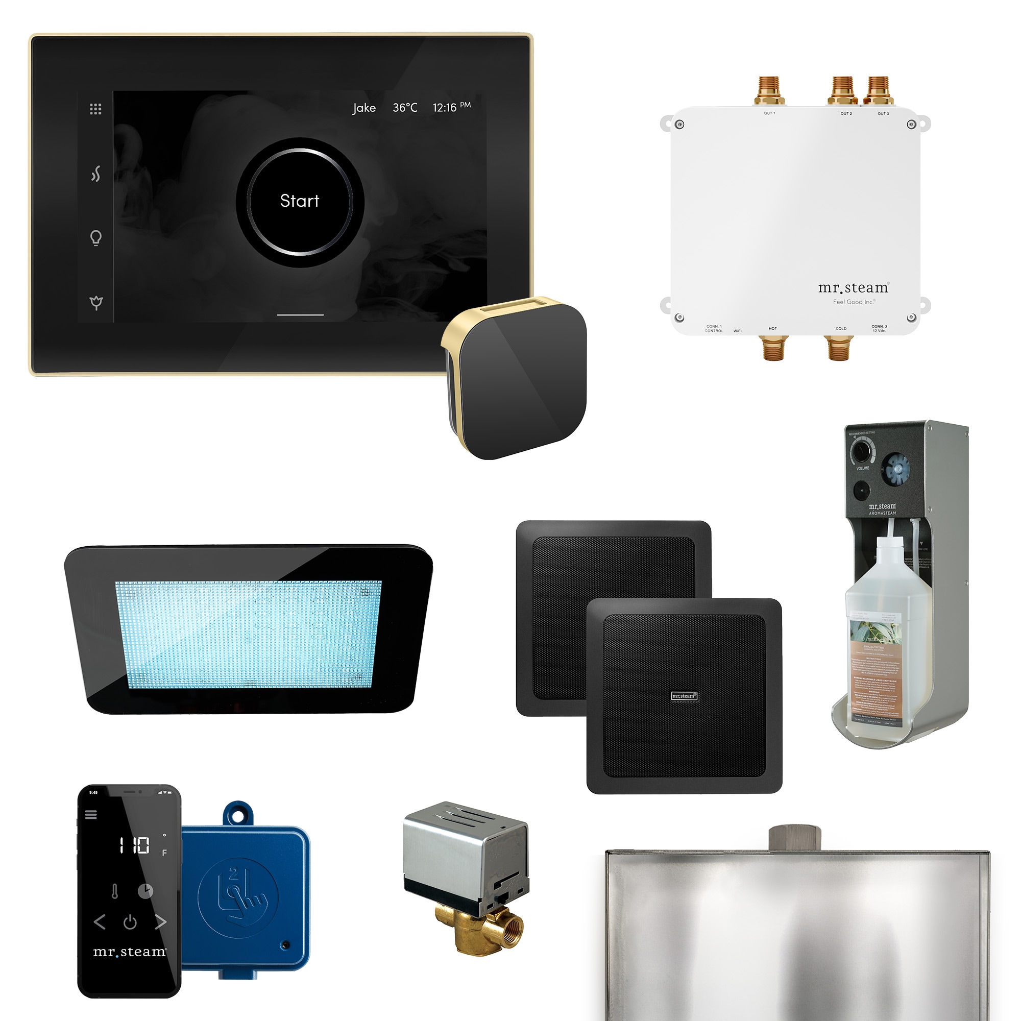 Mr. Steam BLS-BKSB Bliss 600-Watts Satin Brass Steam generator control kit