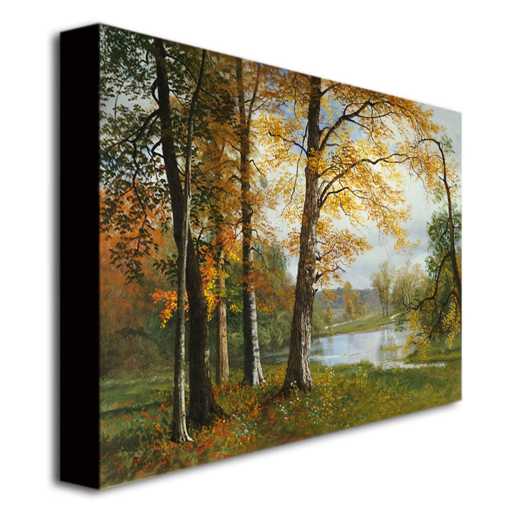 Trademark Fine Art BL0953-C3547GG Wall-Art - View #3