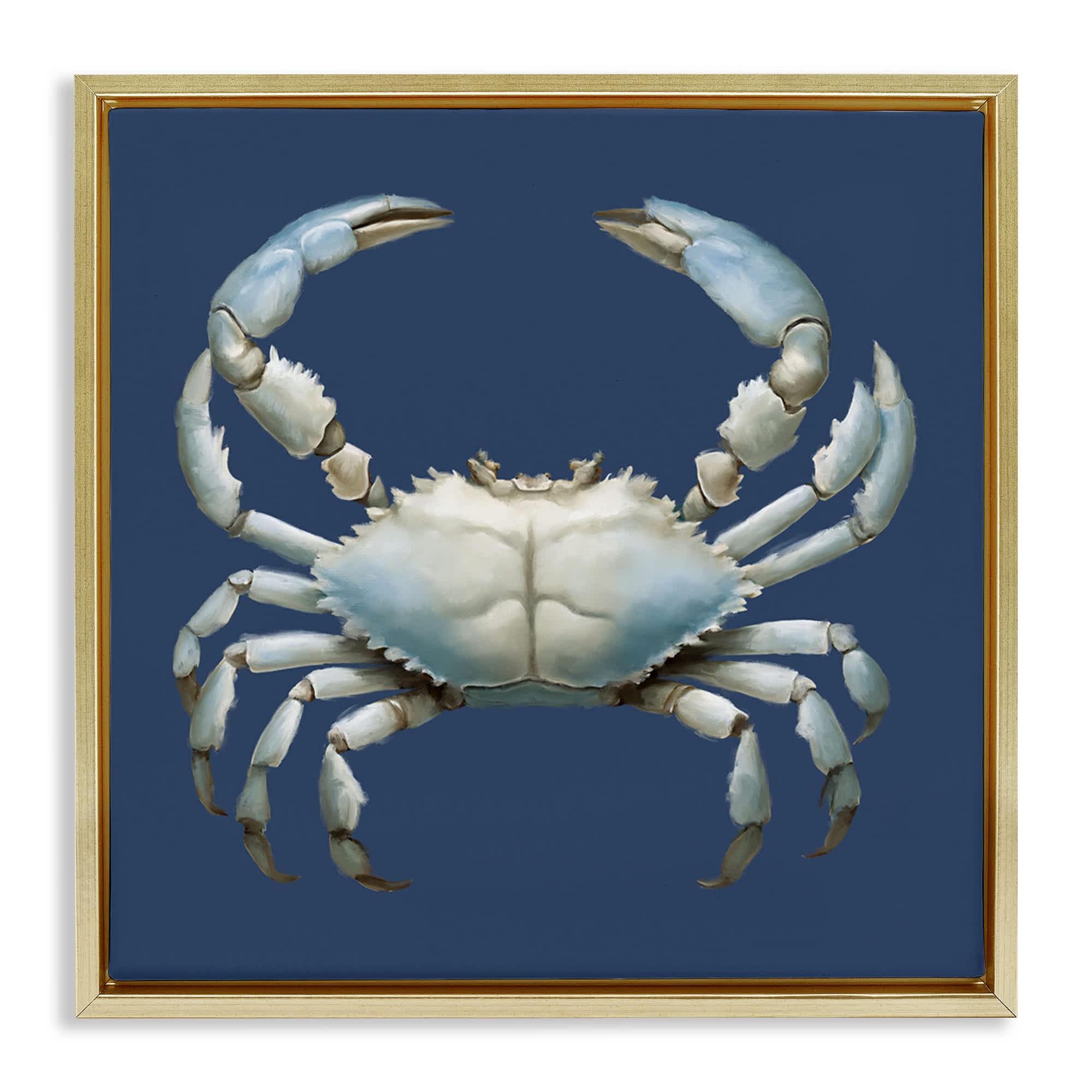 Stupell Industries BS-832-FFG-24X24 Detailed Aquatic Blue Crab Gold Framed Floater Canvas Wall Art By Elizabeth Medley 25 x 25