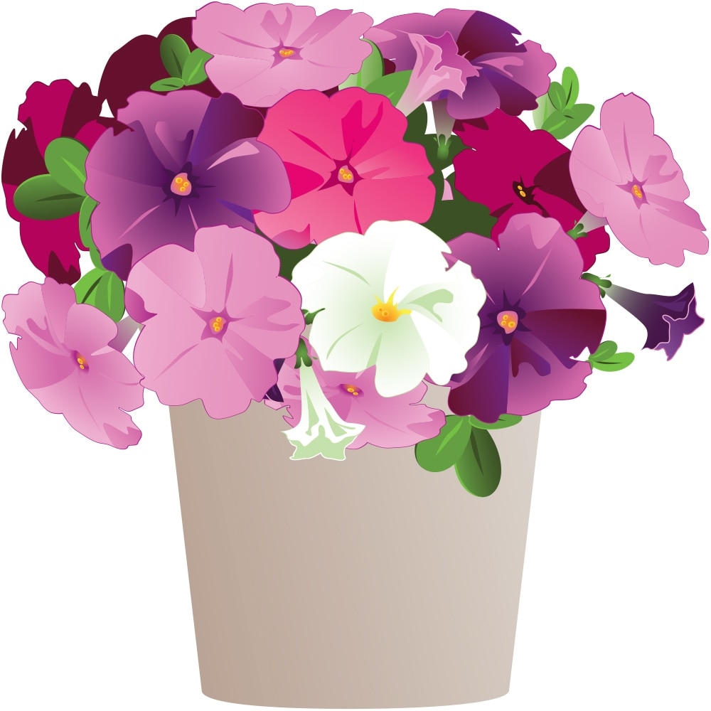 Lowe's NURSERY annuals - View #2