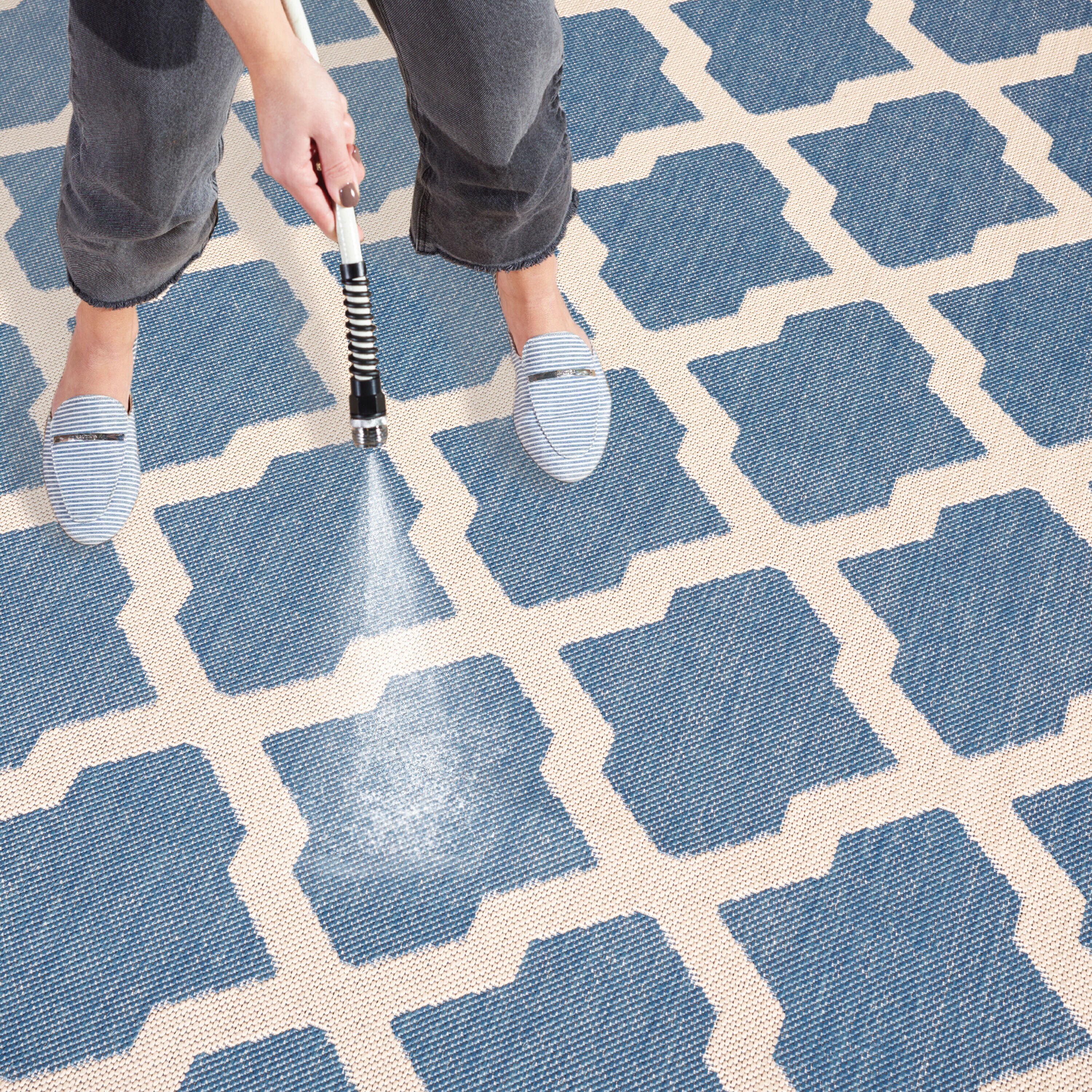 Safavieh BHS122M-4 rugs - View #7