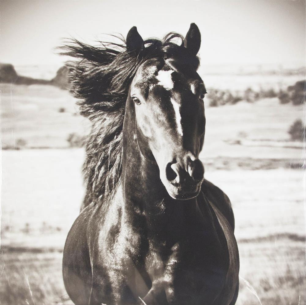  1810-8069LOW 24-in H x 24-in W Photography Print on Canvas