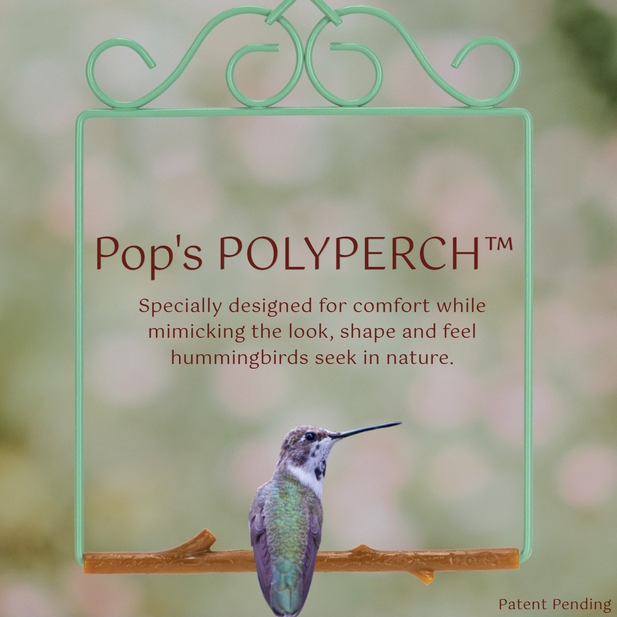 Pop's Birding OGVC-BR Bird-Feeder-Accessories - View #5