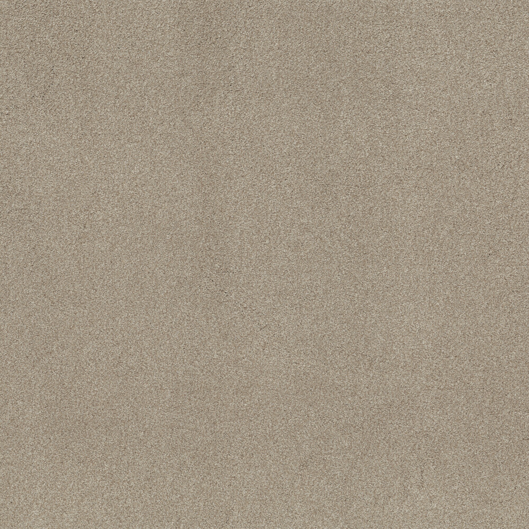 STAINMASTER PetProtect 7L928-139-SAMP (Sample) with LeakDefense with LeakDefense Splash Dance I Buff Tan 58.5-oz sq yard Polyester Textured Indoor Carpet