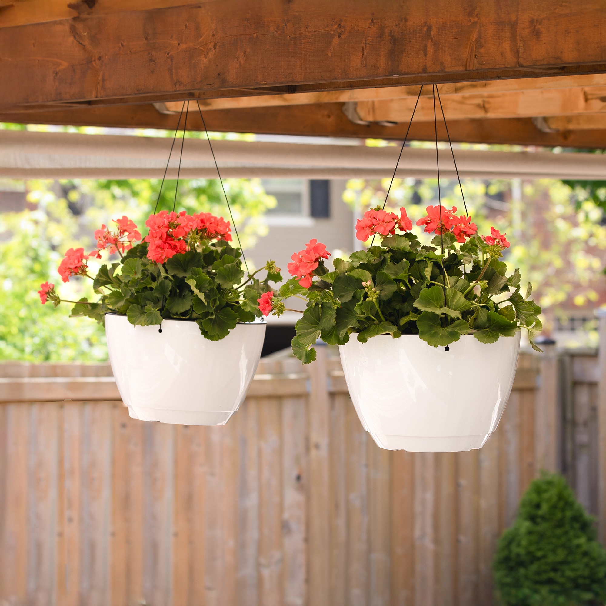 Mayne 3886-W Planter-Window-Box - View #3