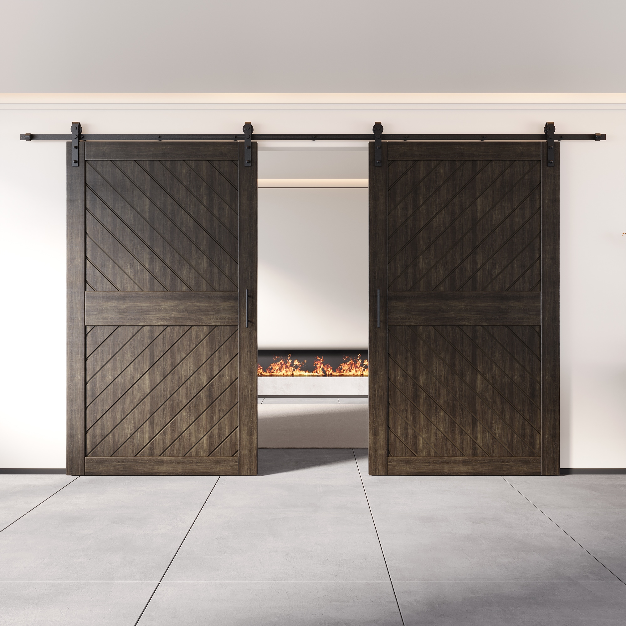 HOMACER YT2H216C-XT4-4884-EB Barn-Doors - View #8