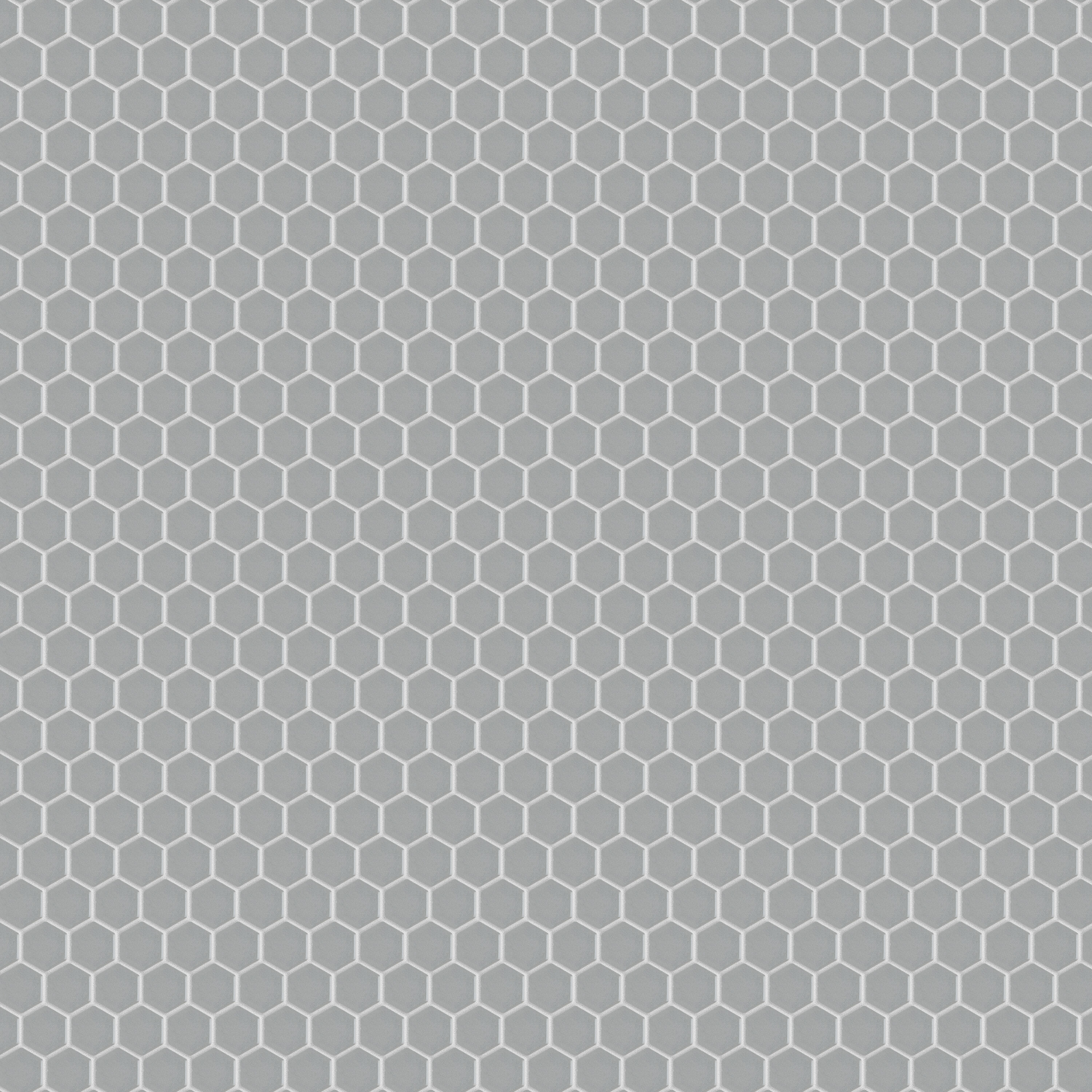 Affinity Tile S1FWRM1HGL Tile-Samples - View #5
