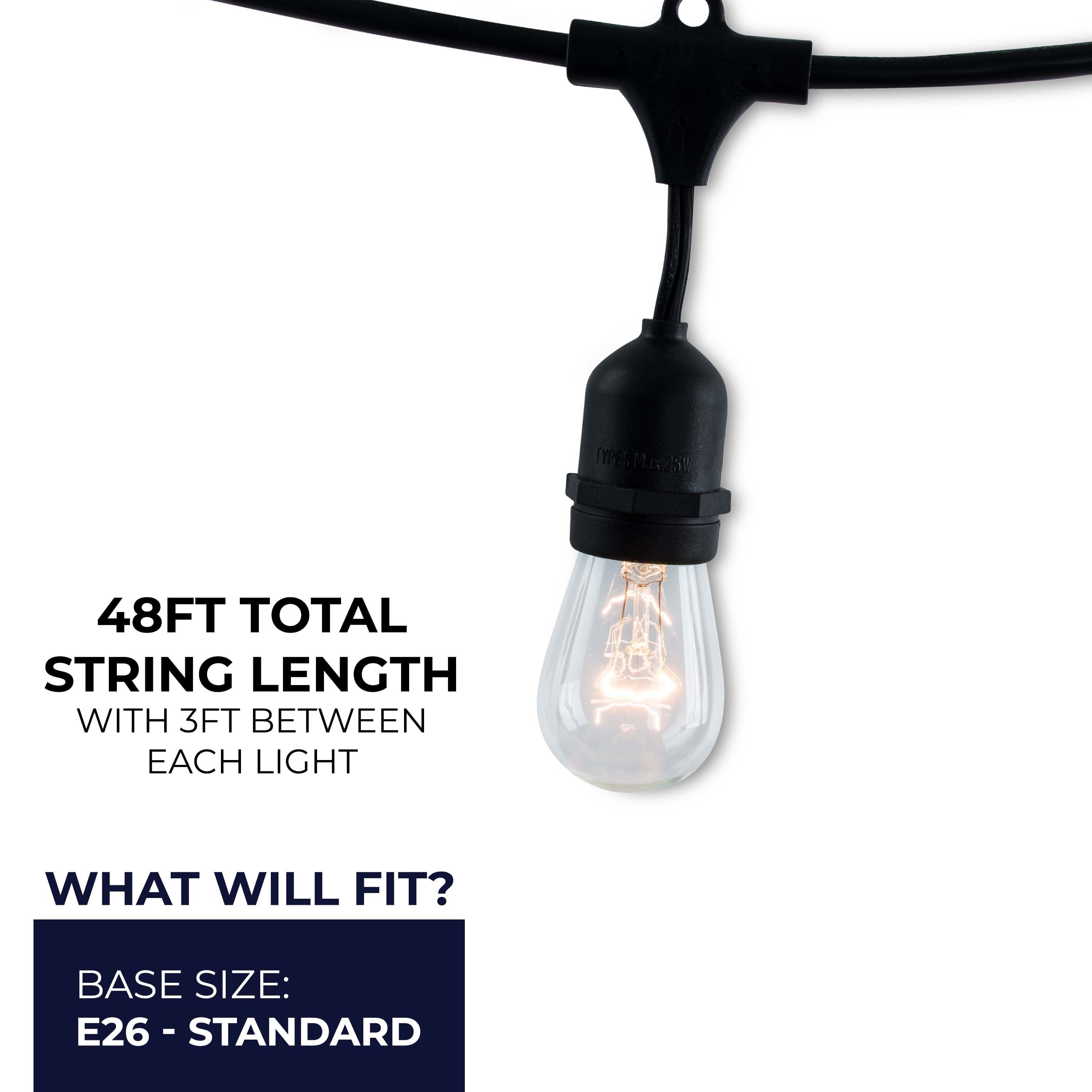 48-Foot Black Outdoor Globe String Lights with Incandescent Bulbs