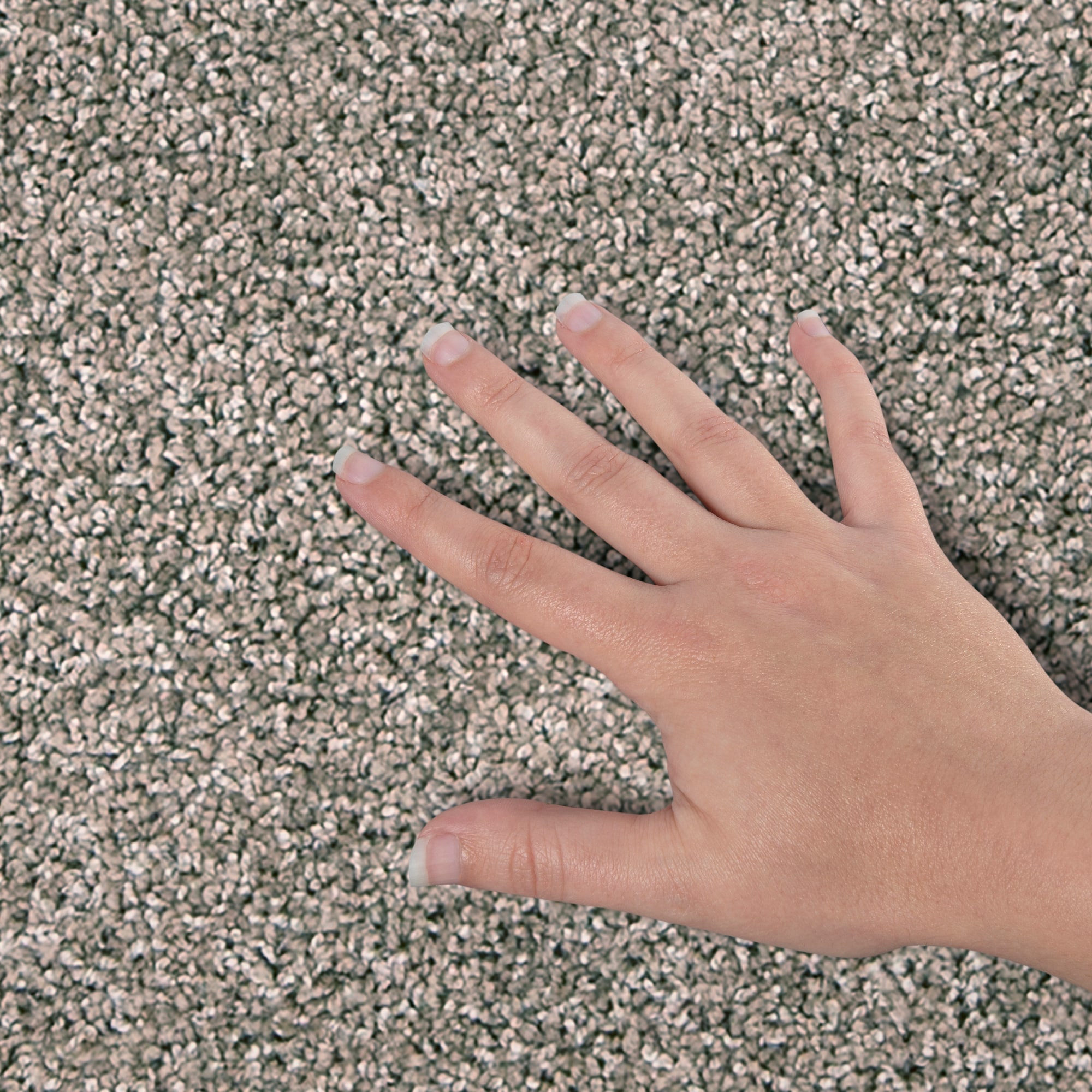 STAINMASTER PetProtect SS057-L011-S0808 Carpet-Samples - View #4