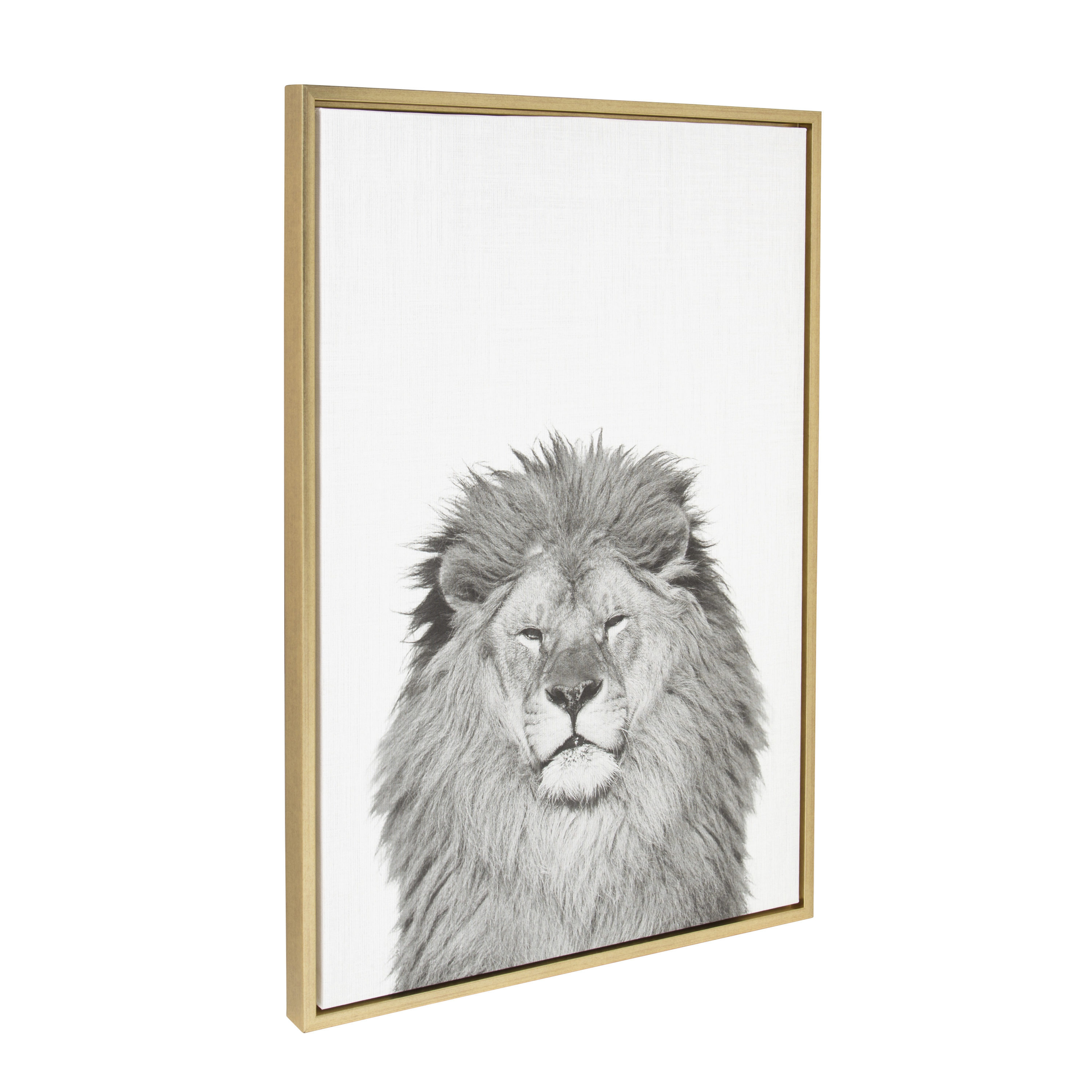 Kate and Laurel Lion Tai Prints Gold Framed 33-in H x 23-in W Animals Print  on Canvas in the Wall Art department at