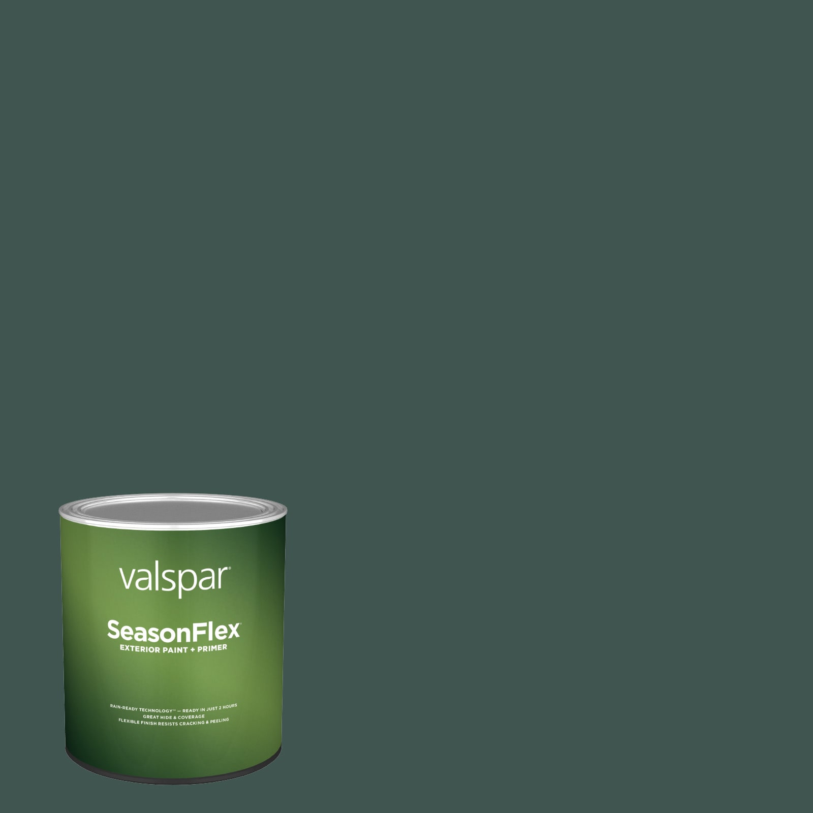 Delicious (0438)  Dark Olive Green Paint Color