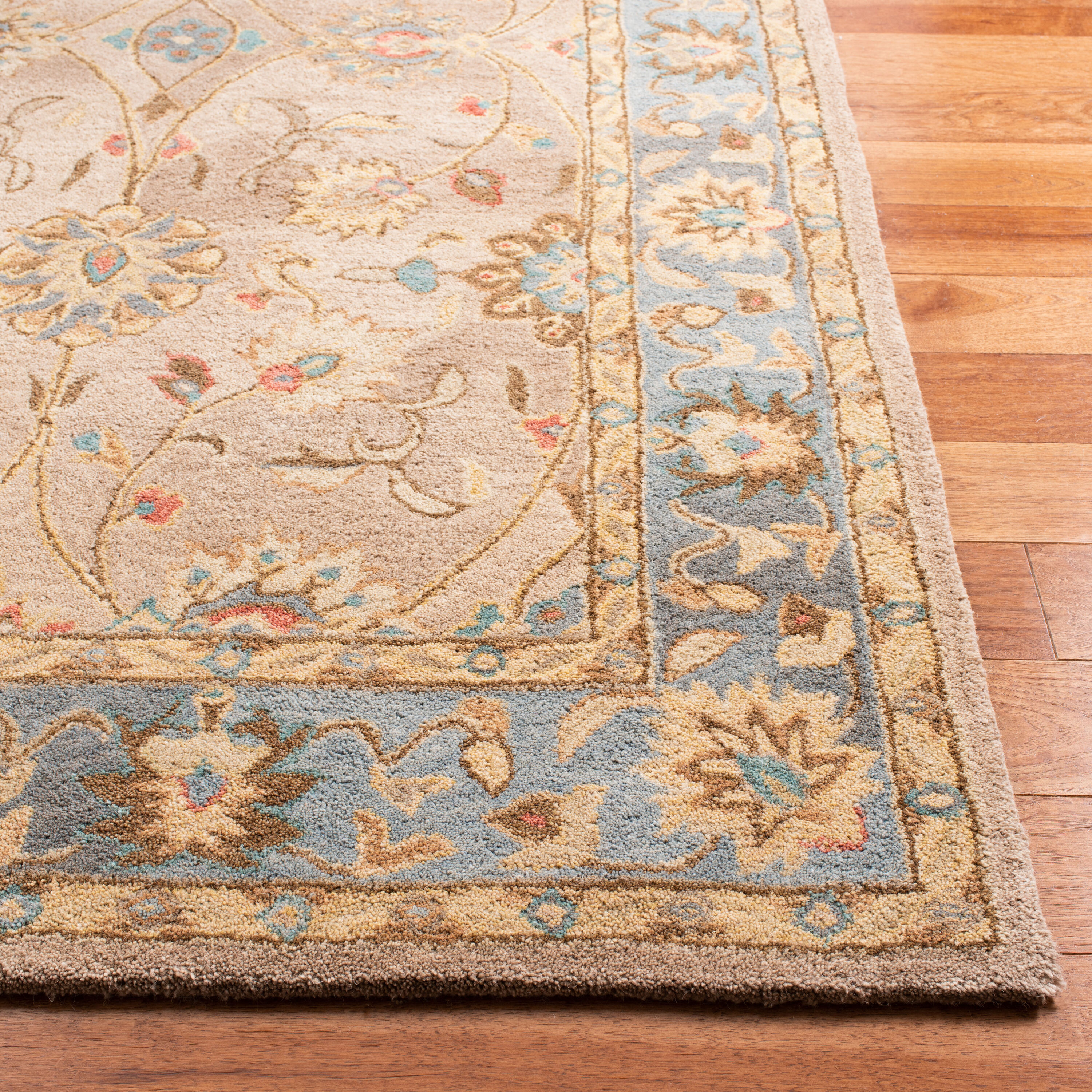 Safavieh AN580D-5 rugs - View #4