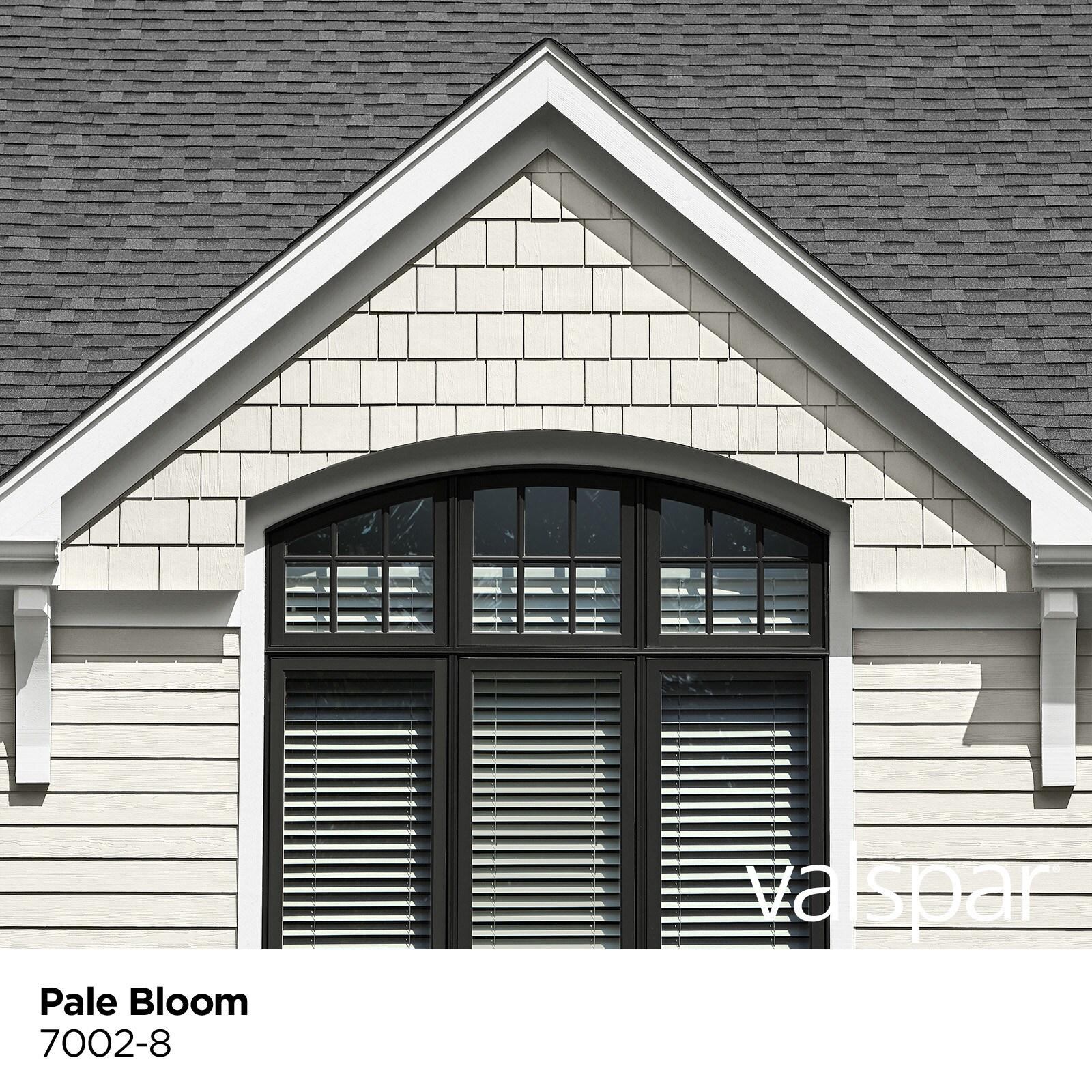Valspar 7002-8-146990 Exterior-Paints - View #3