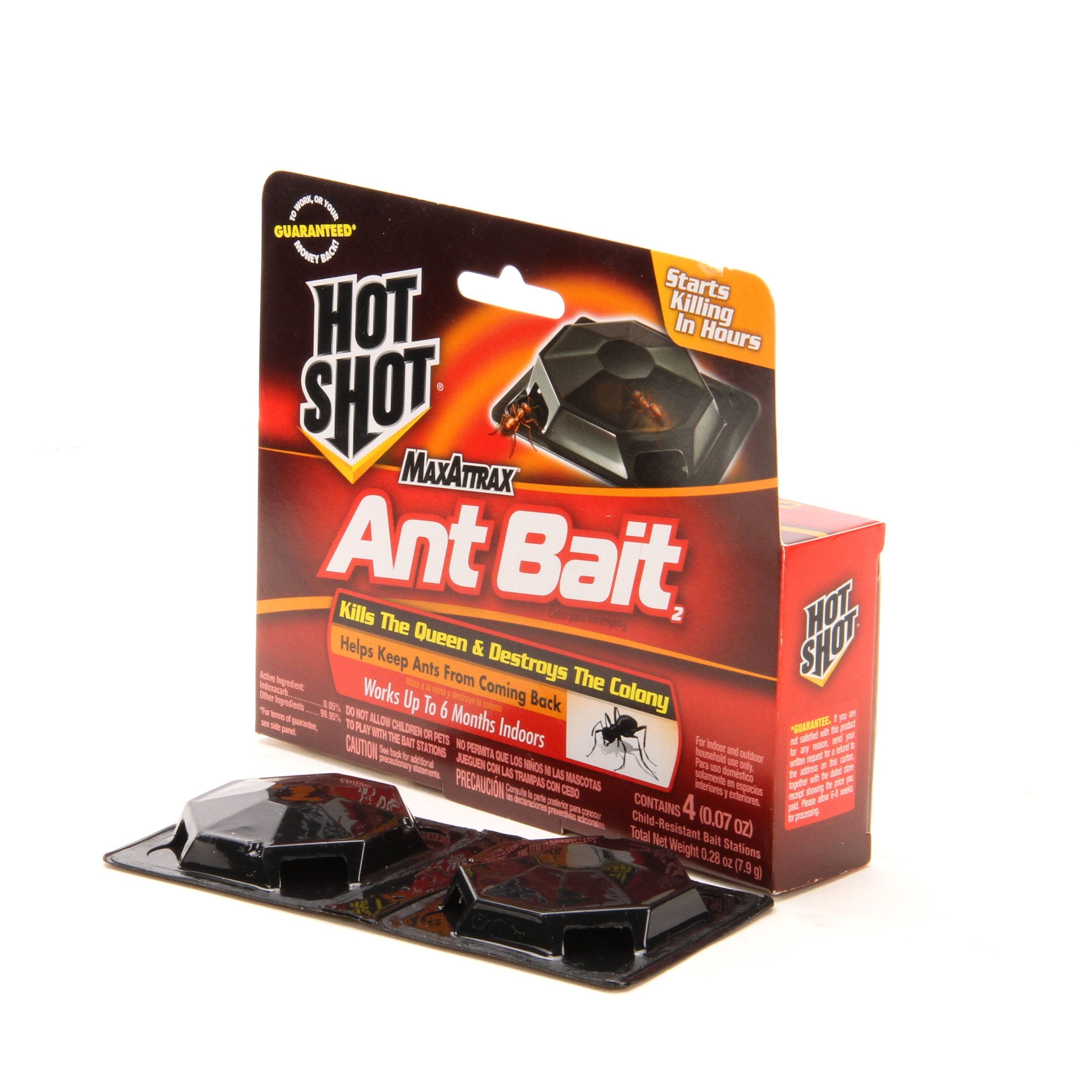 Hot Shot (4-Pack) in the Pesticides department at