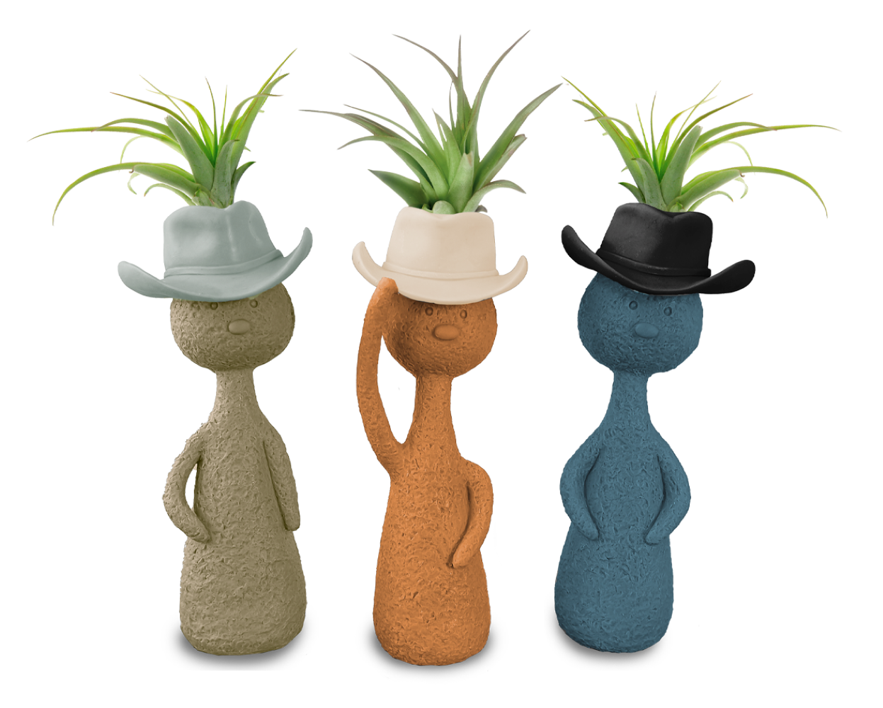 LiveTrends ASB08160 Ranchero House plant in 3 -Pack Pot 3 -Pack