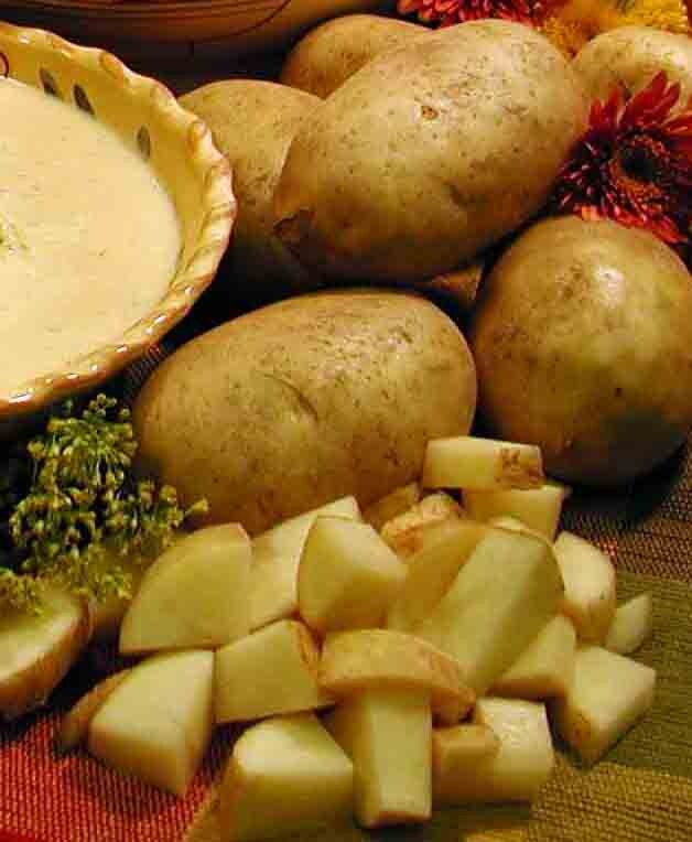  35.23902 No Flowers Mega Chip Seed Potatoes Bulbs