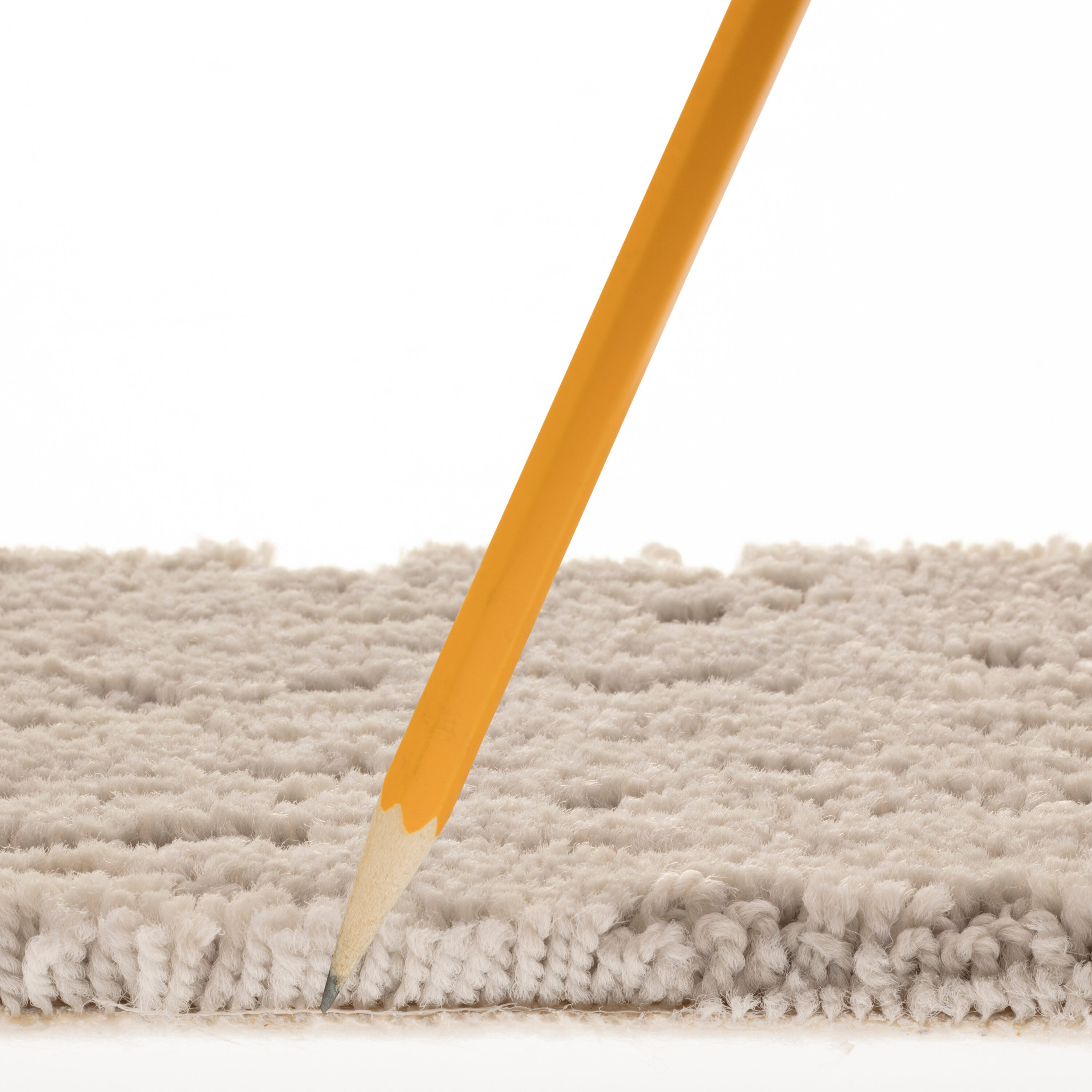 STAINMASTER PetProtect 7L902 - 541 - SAMP Carpet-Samples - View #7