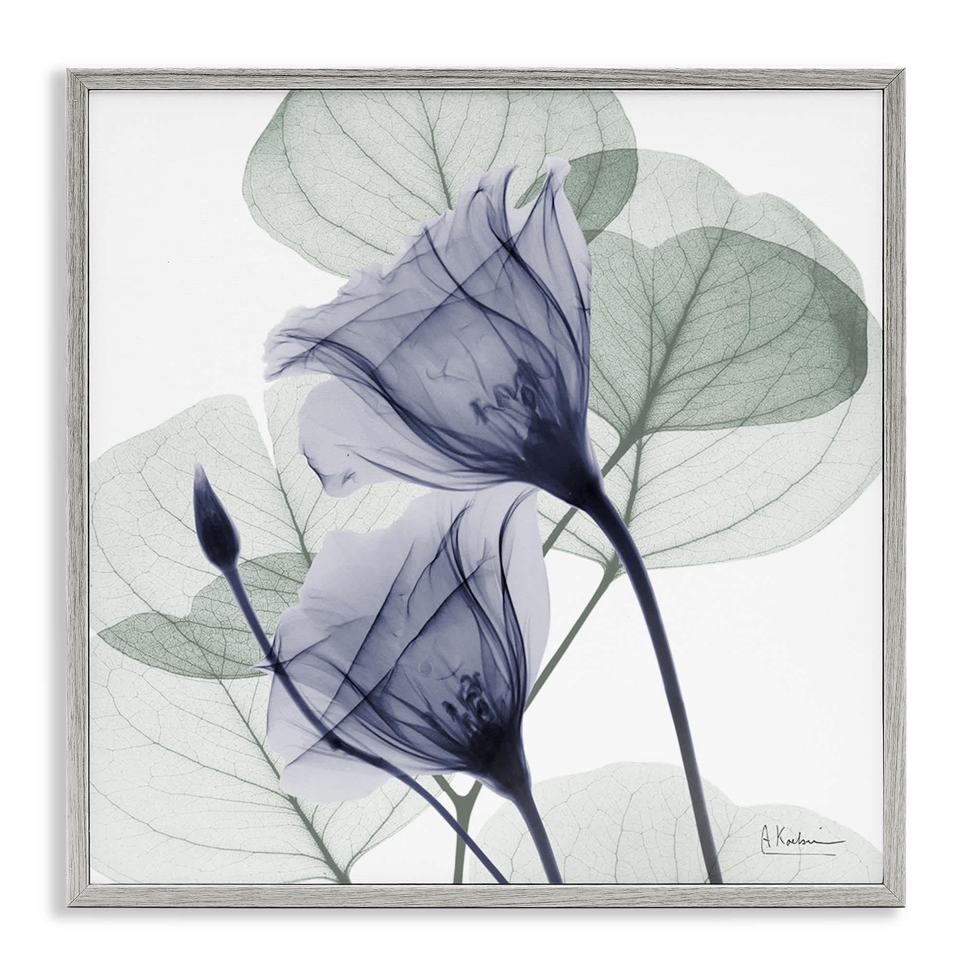Stupell Industries BS-028-GFF-12X12 Serene Tulips and Herbs Gray Framed Giclee Art By Albert Koetsier 12 x 12