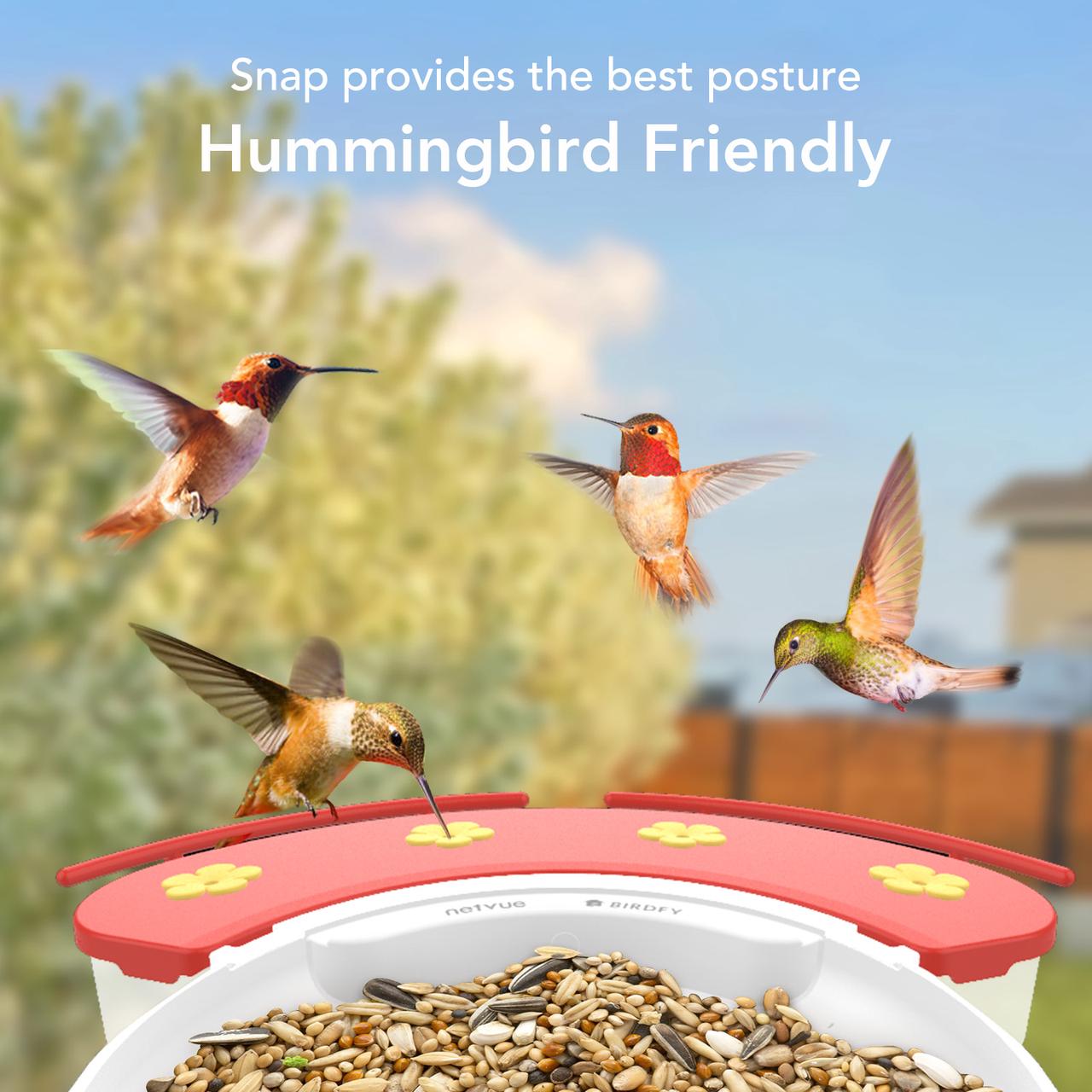 Birdfy NA-1000 Bird-Feeder-Accessories - View #2