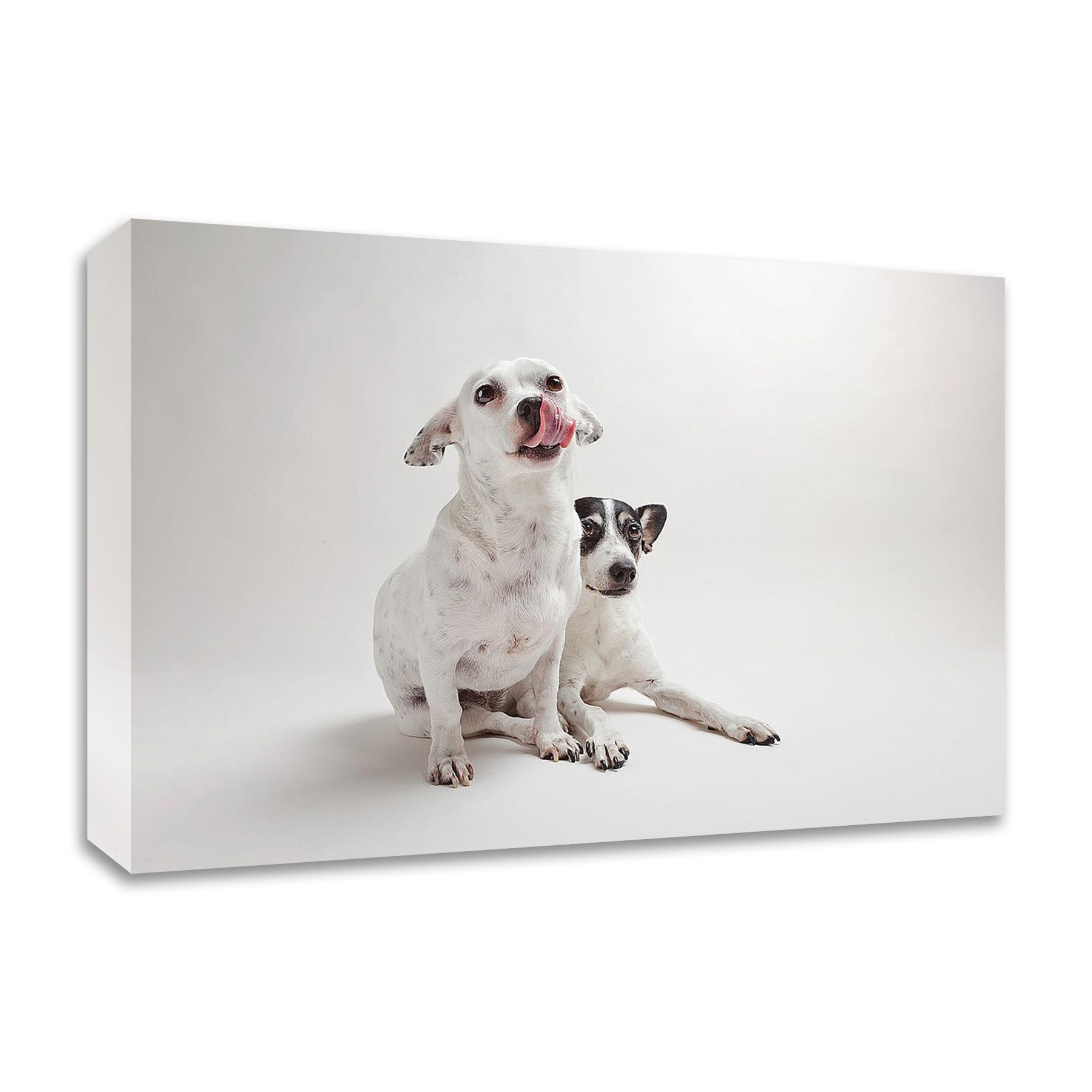Tangletown Fine Art 8S1699DC-2416 Mouse and Jack Susan Sabo 16-in H x 24-in W Animals Print on Canvas