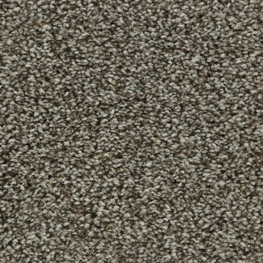 STAINMASTER STP48-12-L007 Calming Stride I Native Soul Brown 45-oz sq yard Triexta Textured Indoor Carpet