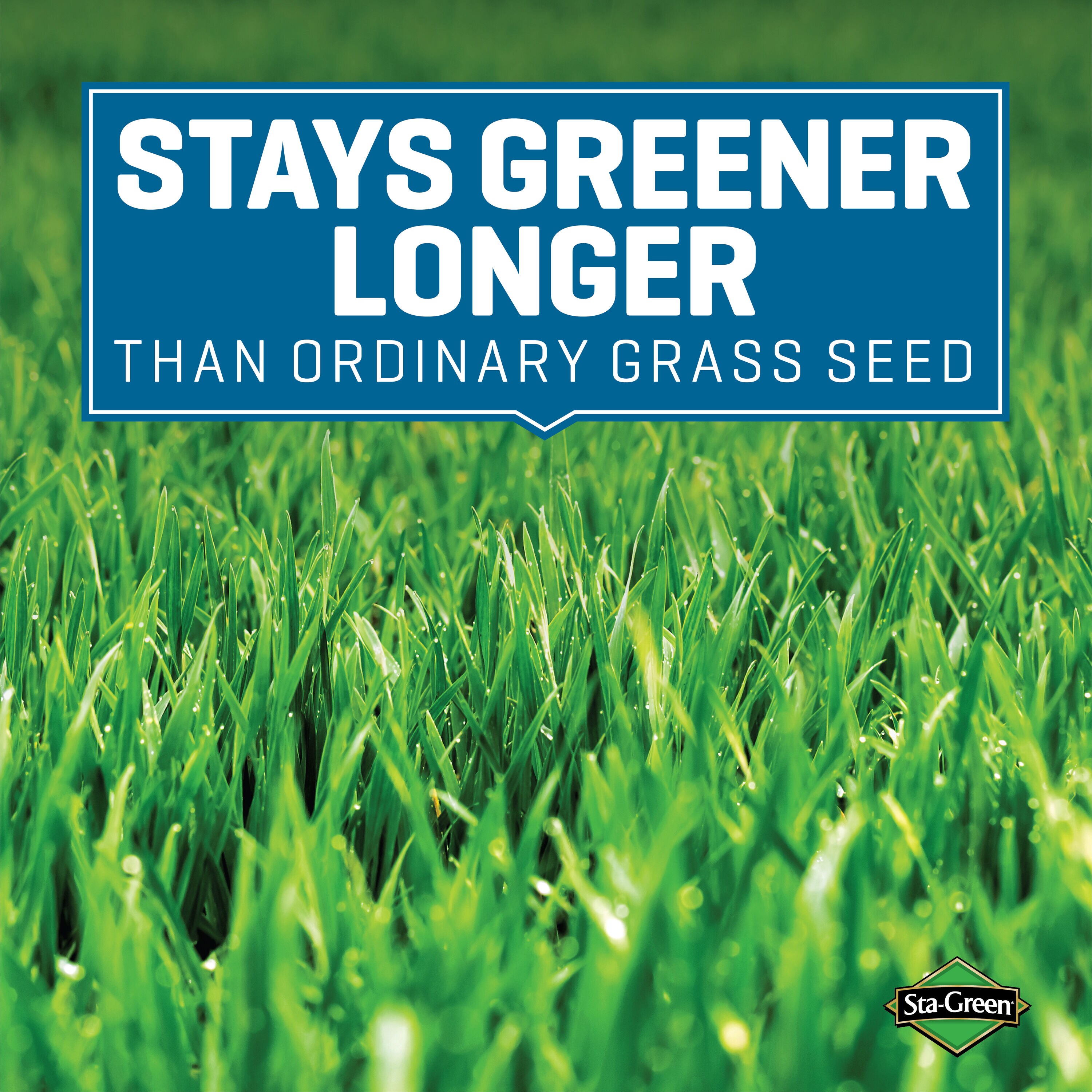 Sta-Green 2149620290 Grass-Seed - View #5