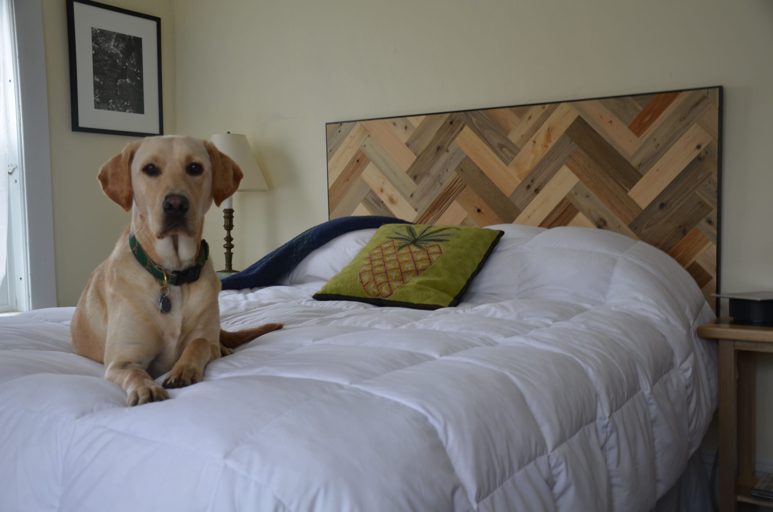 Timberchic 293 Wall-Planks - View #4