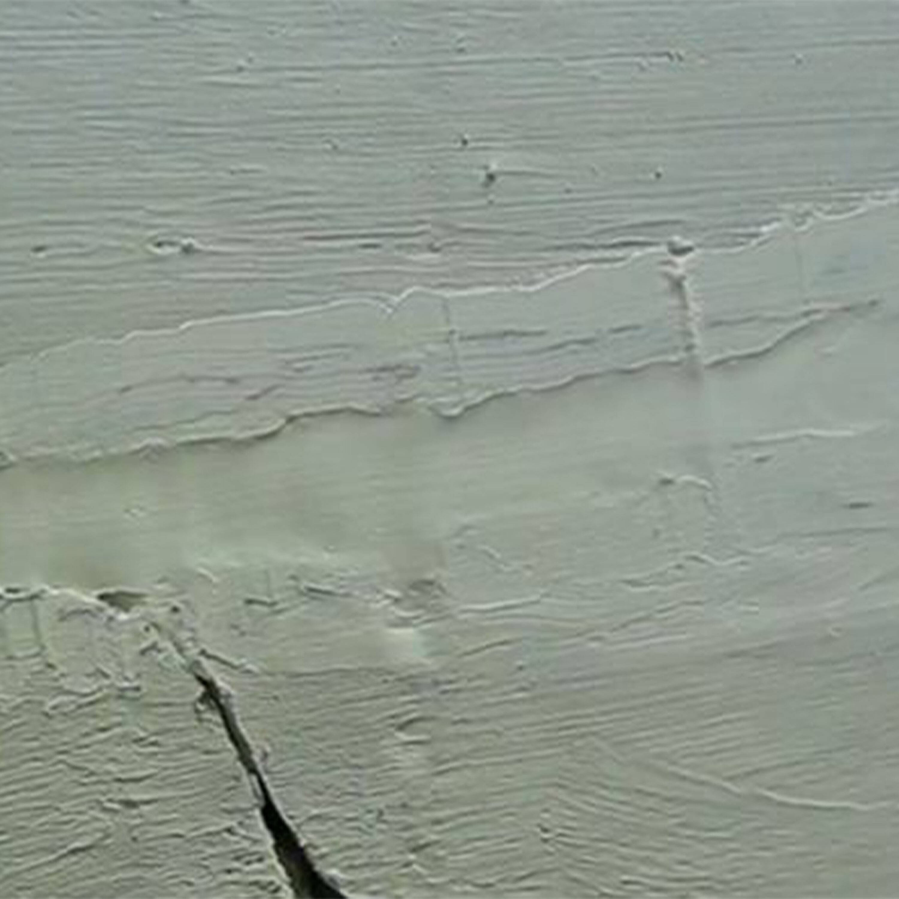 Sika 515318 Concrete-Patch - View #11
