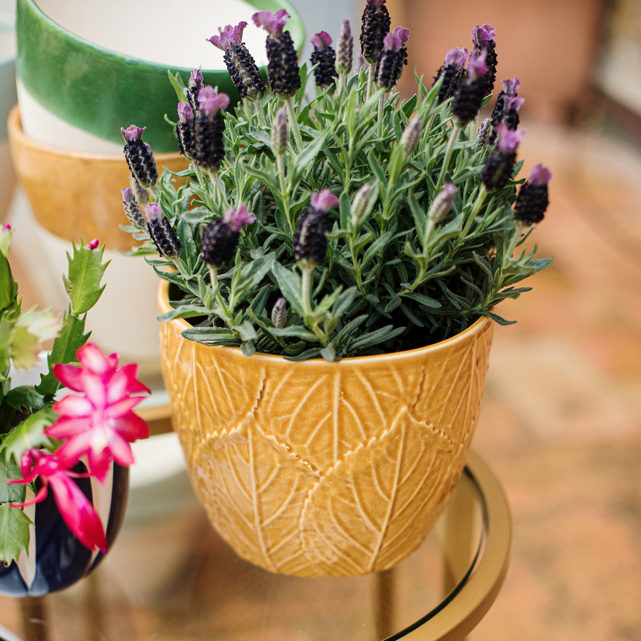 VIETRI VGRD-004060A Planter-Window-Box - View #3