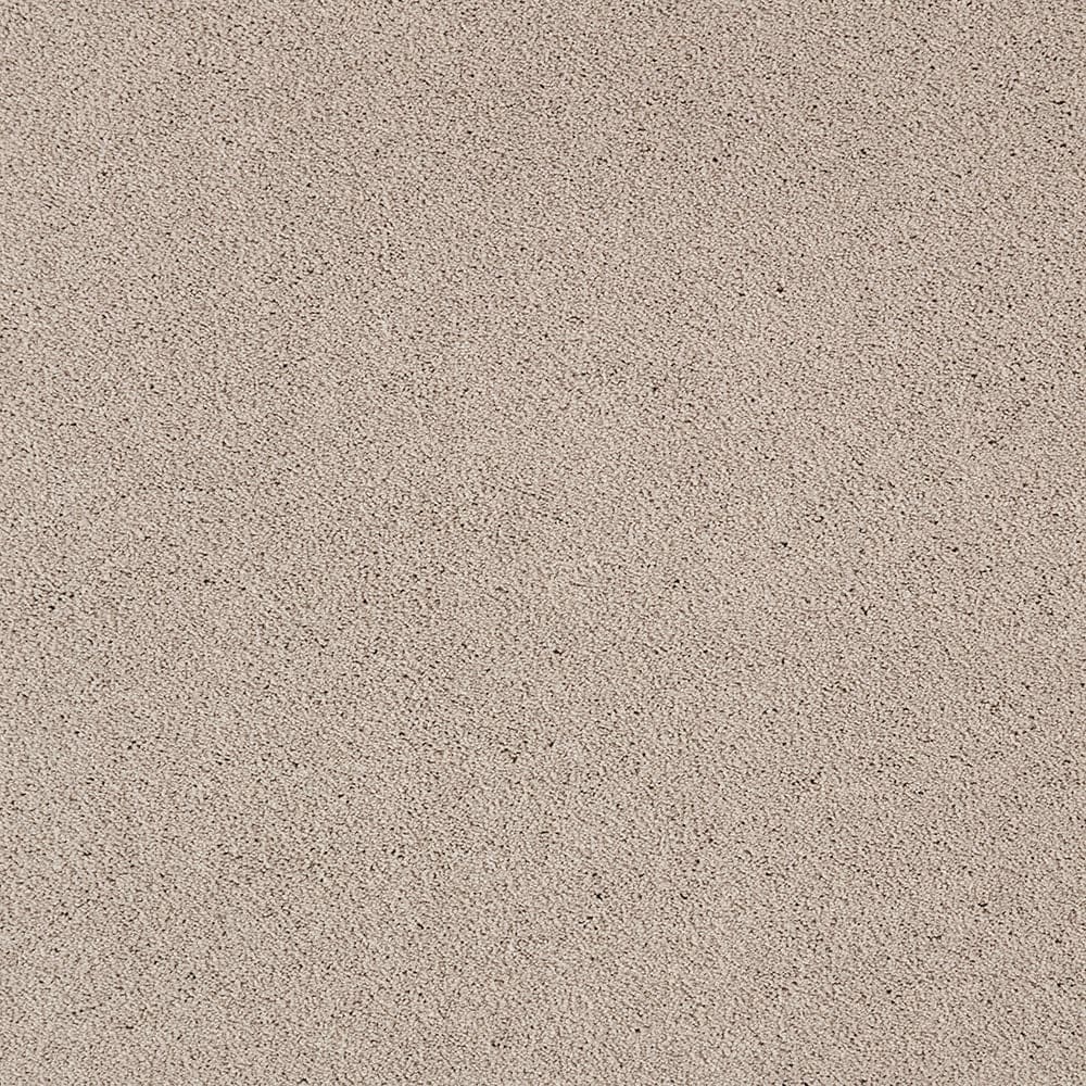 STAINMASTER PetProtect STP54-12-L008 Beau Dacious Carved Stone Brown 48-oz sq yard Triexta Textured Indoor Carpet