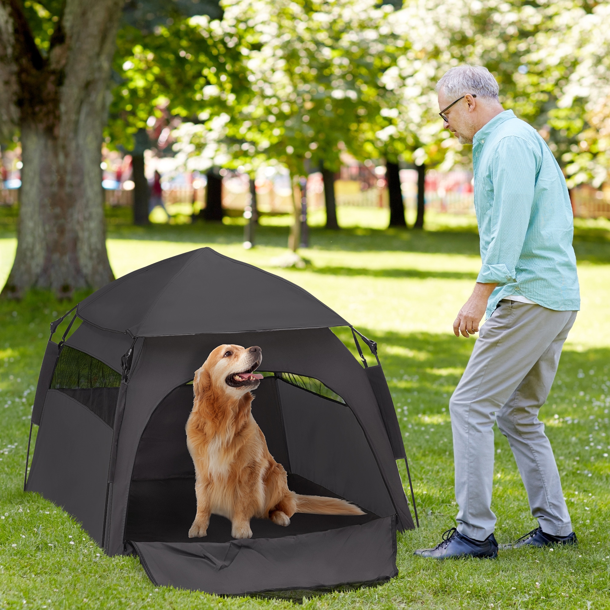 PawHut D00-178V00CG Pet-Carriers - View #2