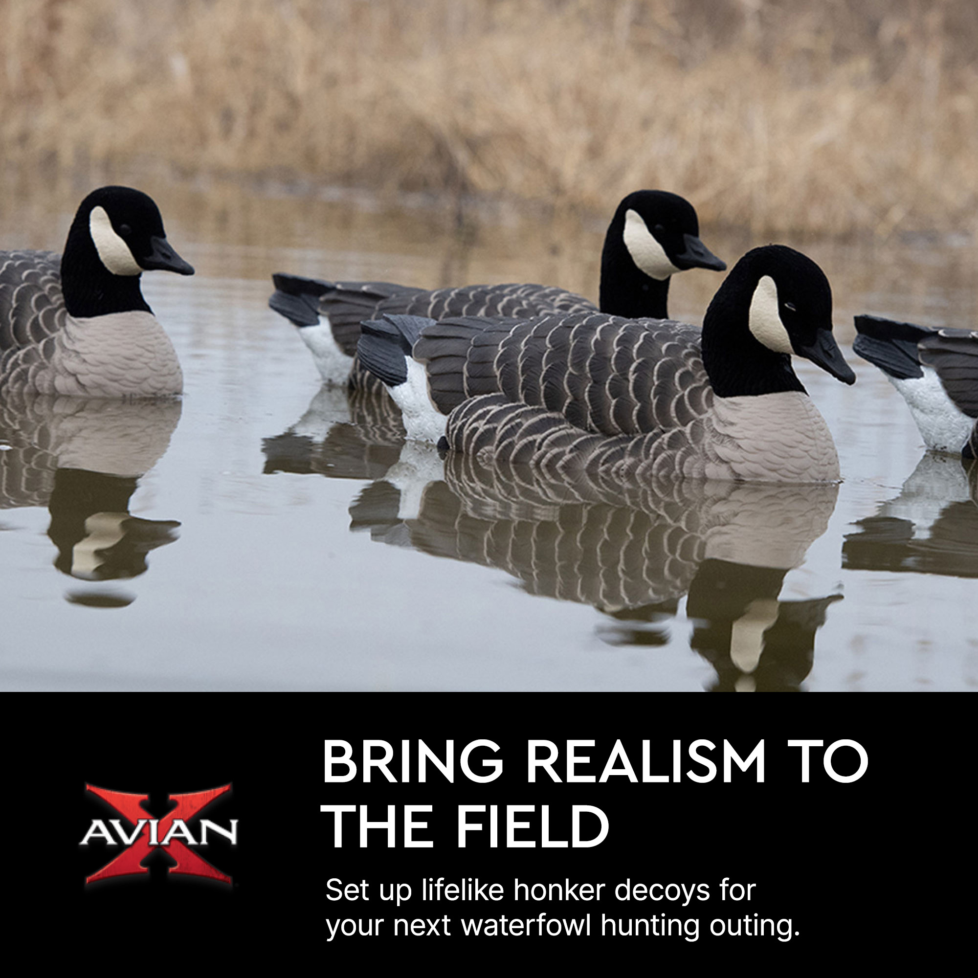 Avian X 399284 Hunting-Equipment - View #5