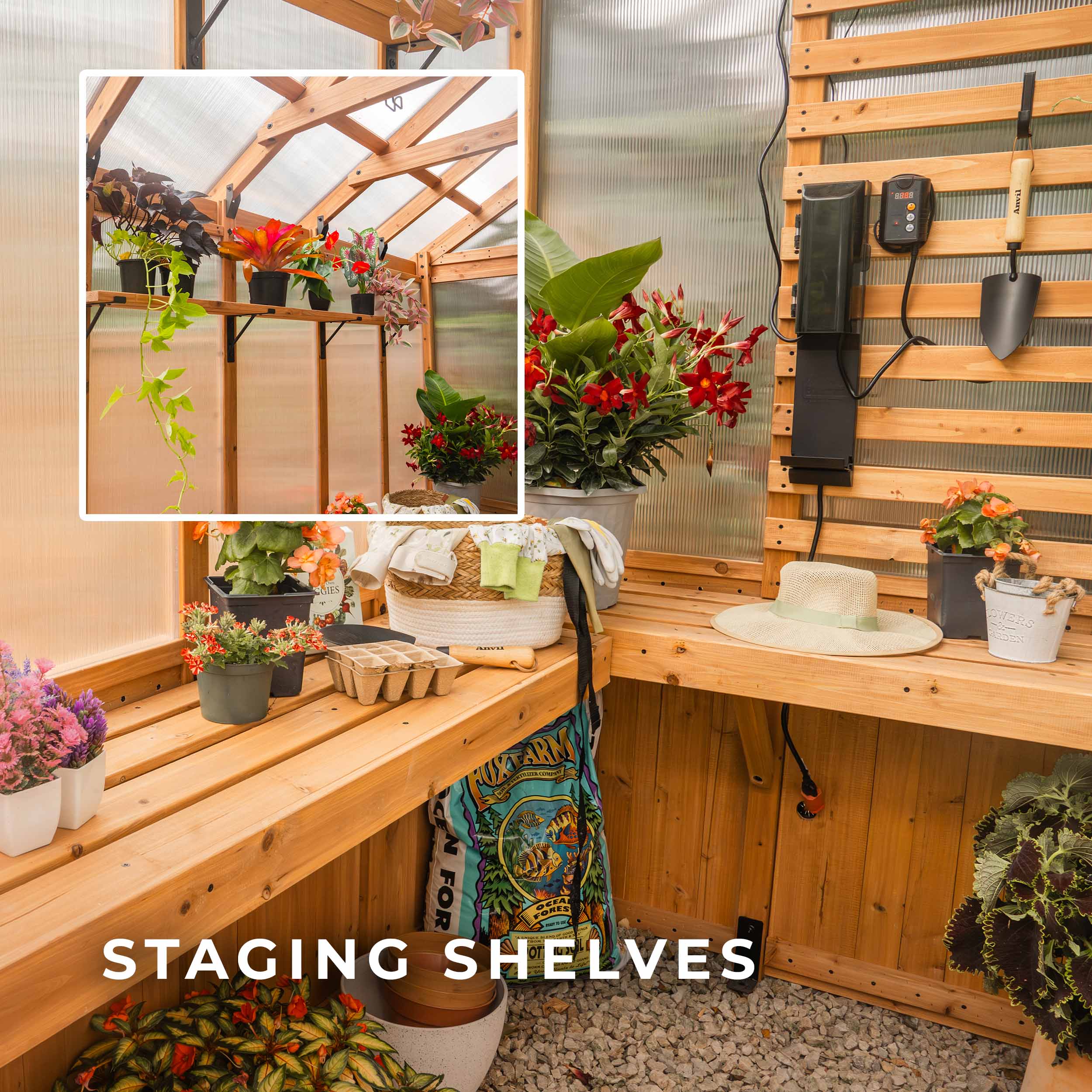 Bellerose Cedar Wood and Polycarbonate Walk-In Greenhouse with Pergola