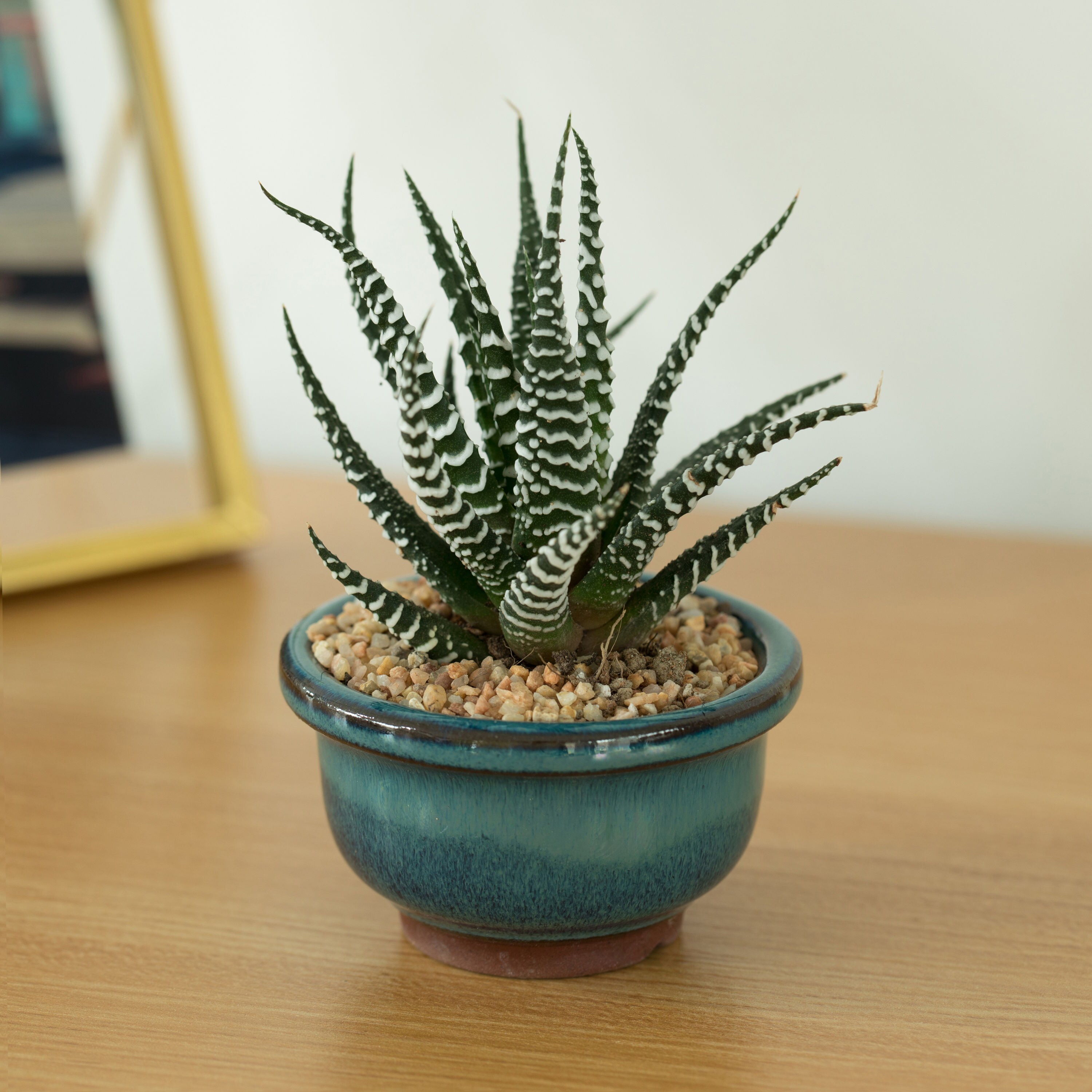 Gardenised QI004100 Planter-Window-Box - View #13