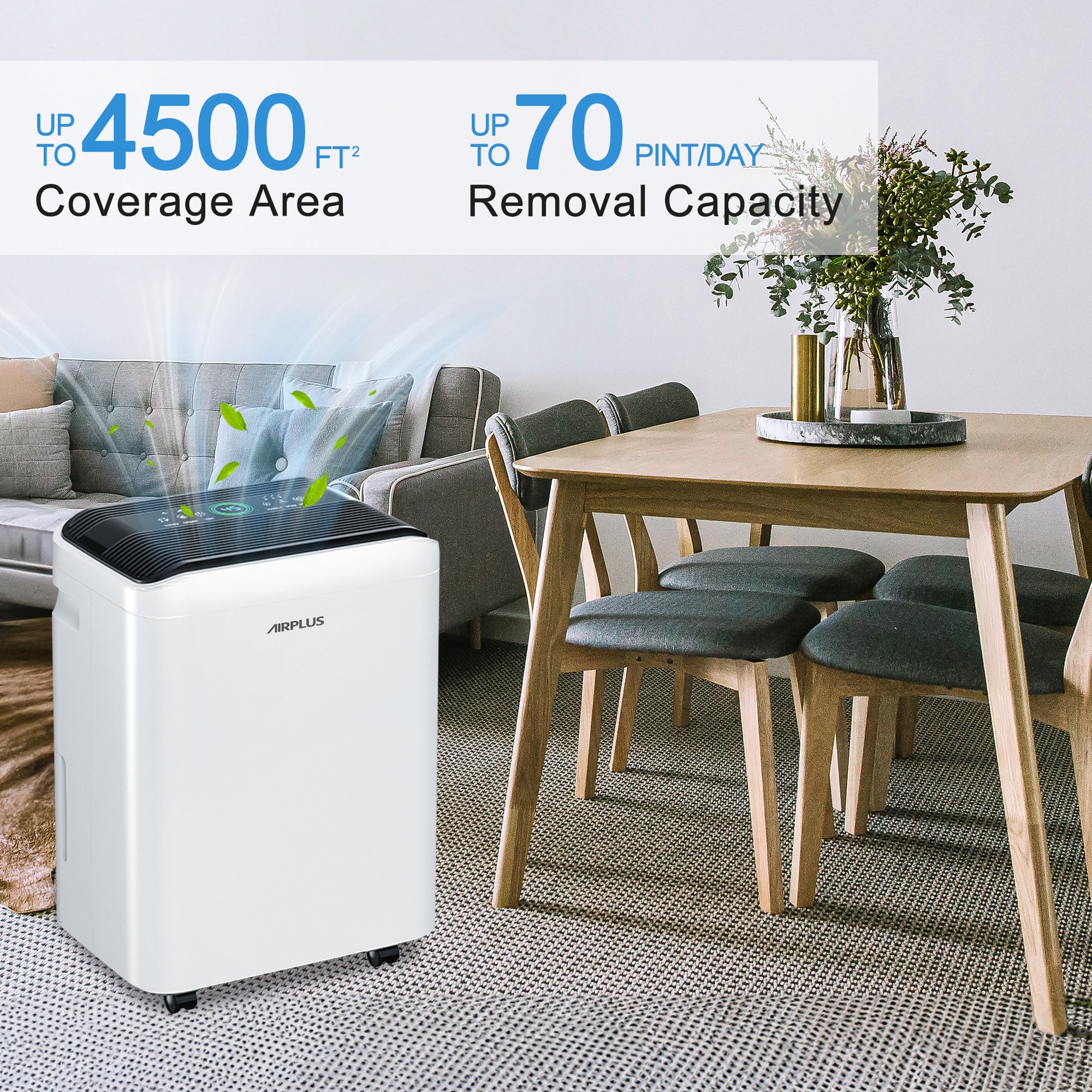 EdenDirect FDKE3803 t000099 - View #2