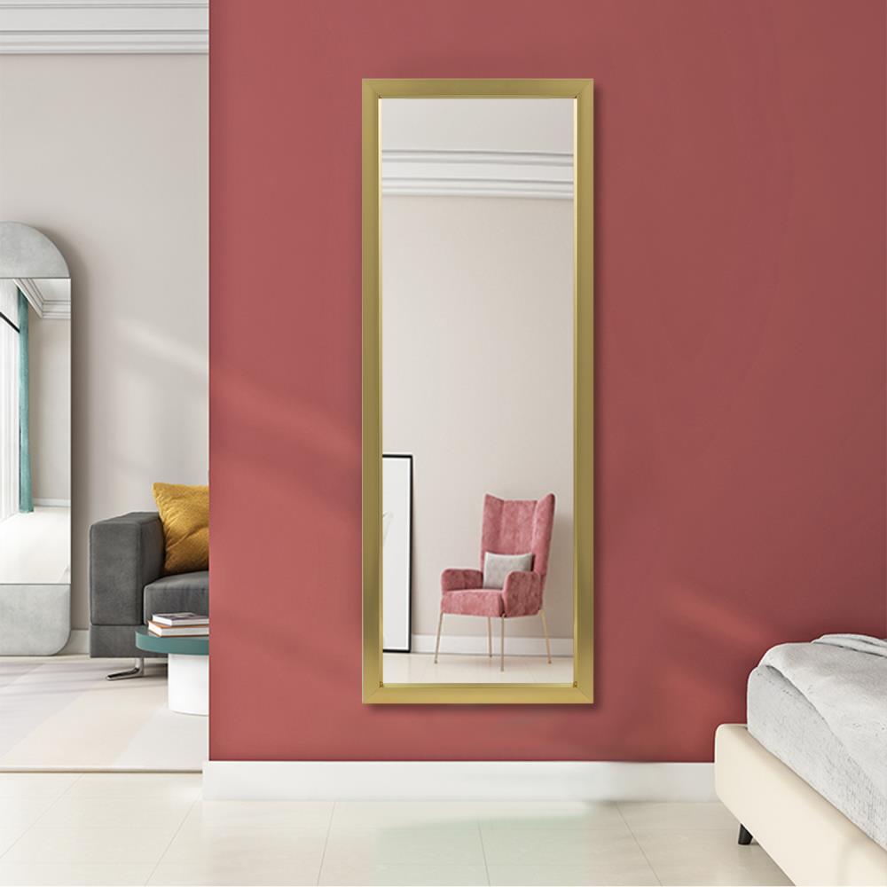 Dovelina JJ01001ZZY 16-in W x 43-in H Champagne Framed Full Length Wall Mirror