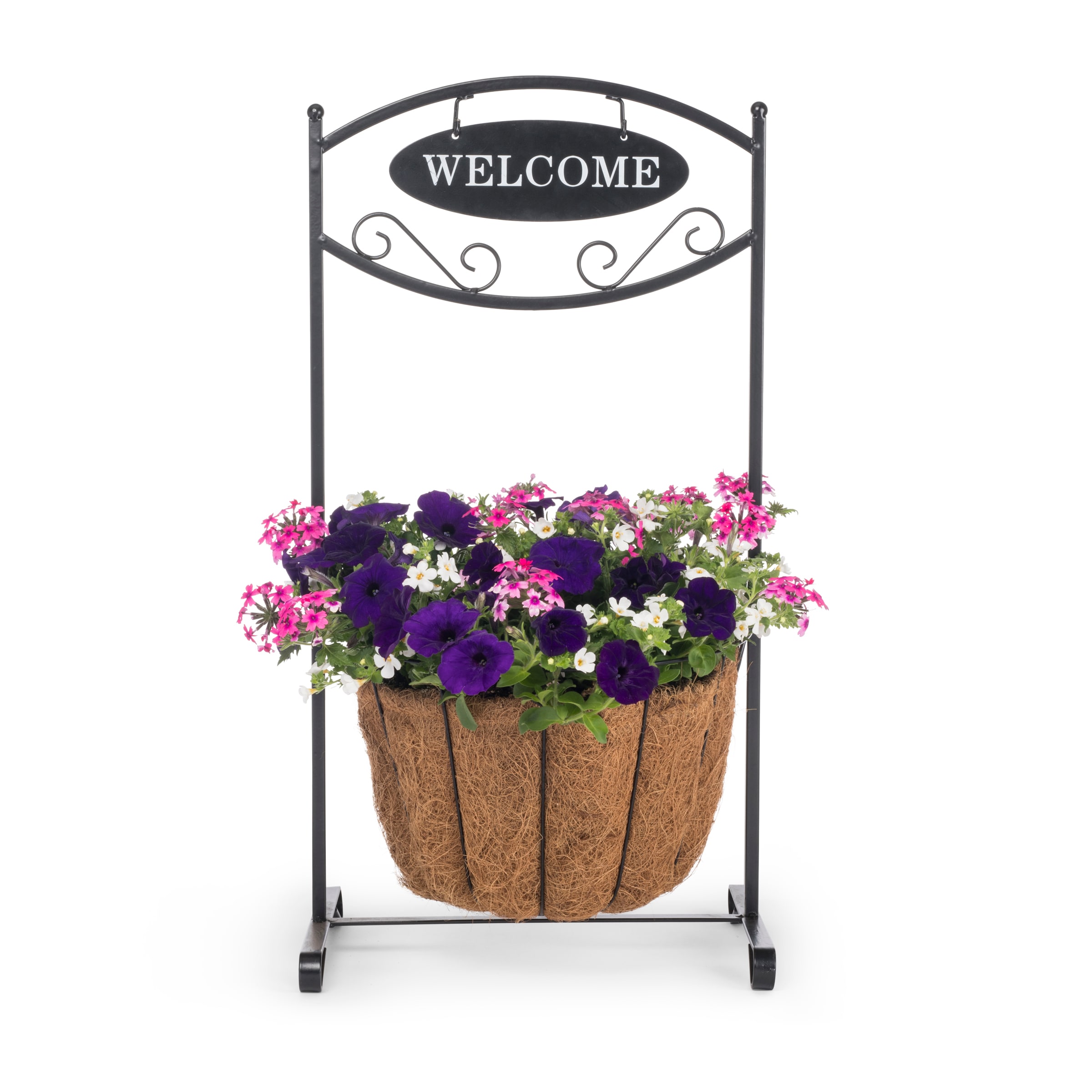 Lowe's NURSERY Multicolor Mixed Annuals Combinations in 2-Gallon Planter