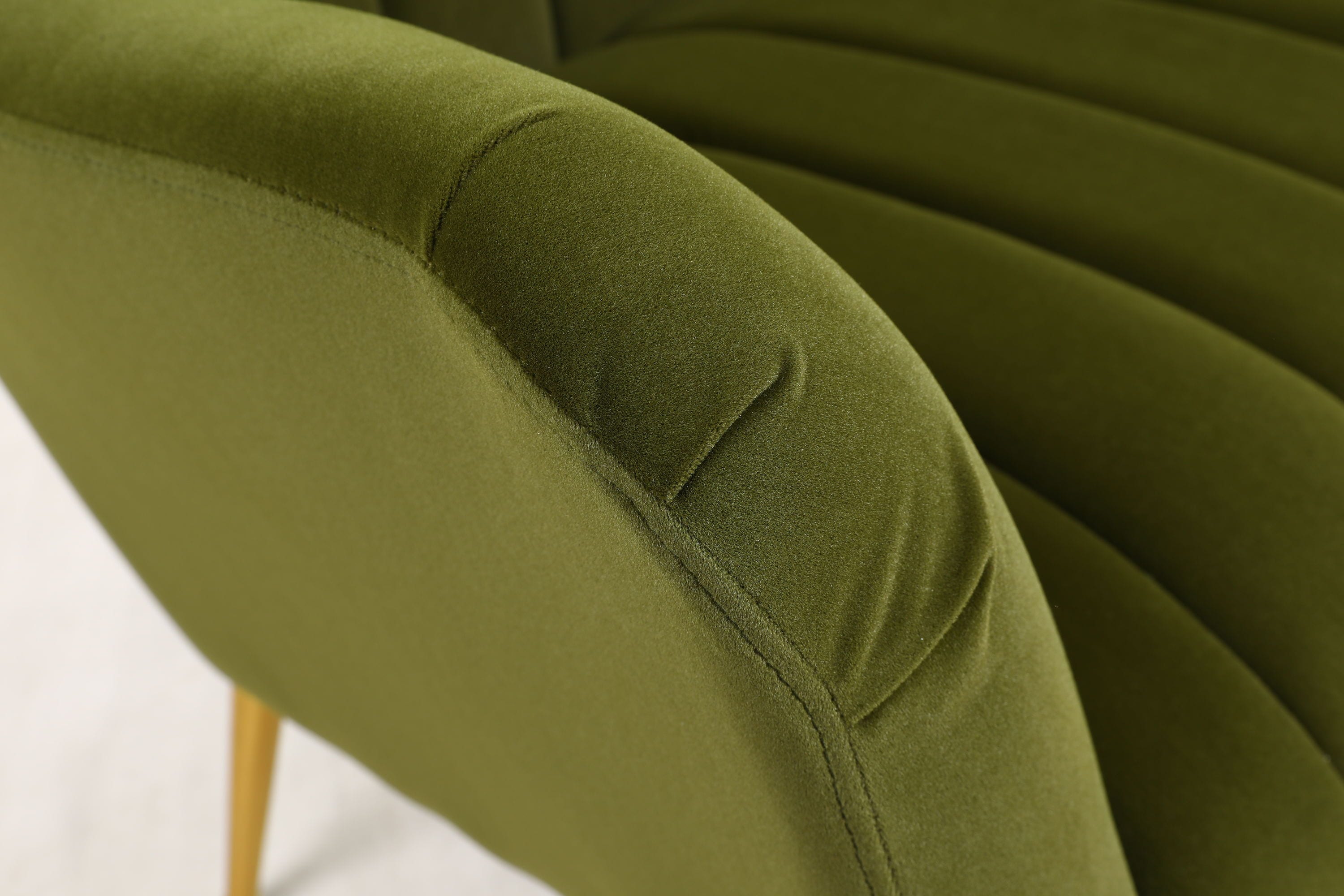 CASAINC Modern velvet chair Contemporary/Modern Velvet Upholstered ...