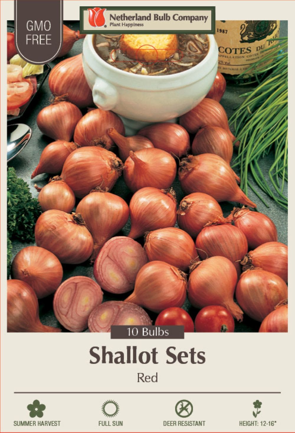 Hirt's Gardens 4420105770NETHERLAND Red Shallots - 10 Bulbs - 9/15 cm Bulbs - Preferred by Chefs