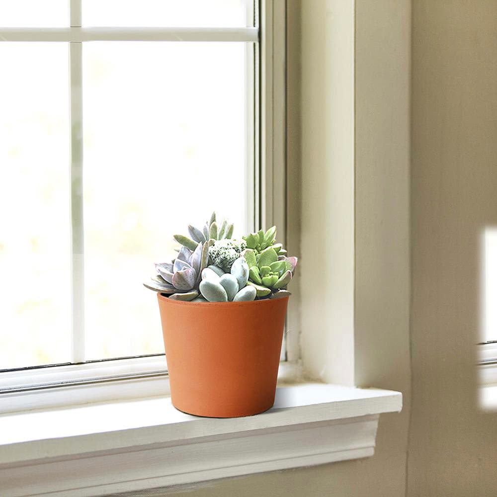 Southern Patio TC0706CP Planter-Window-Box - View #4