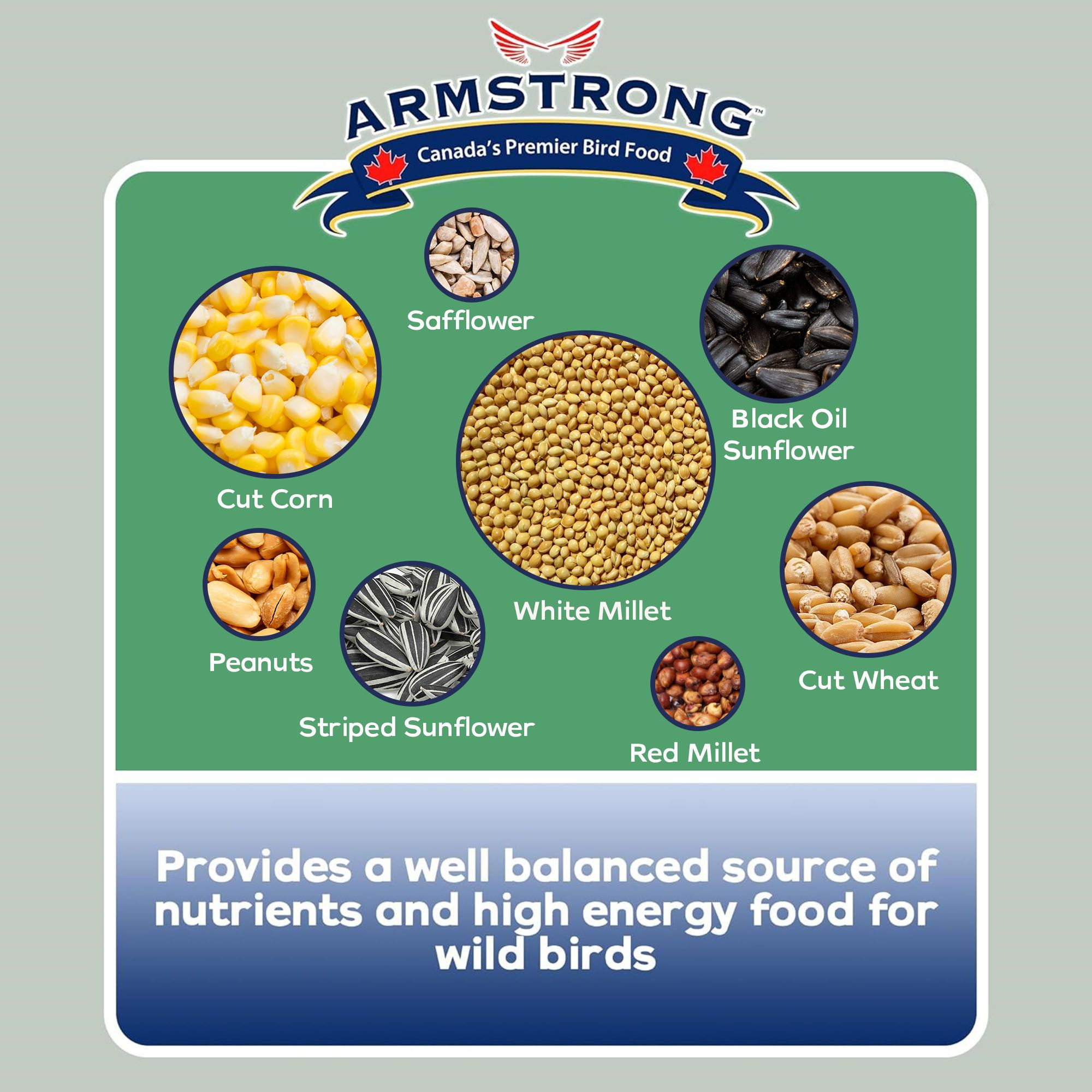 ARMSTRONG 300-905 Bird-Squirrel-Food - View #4