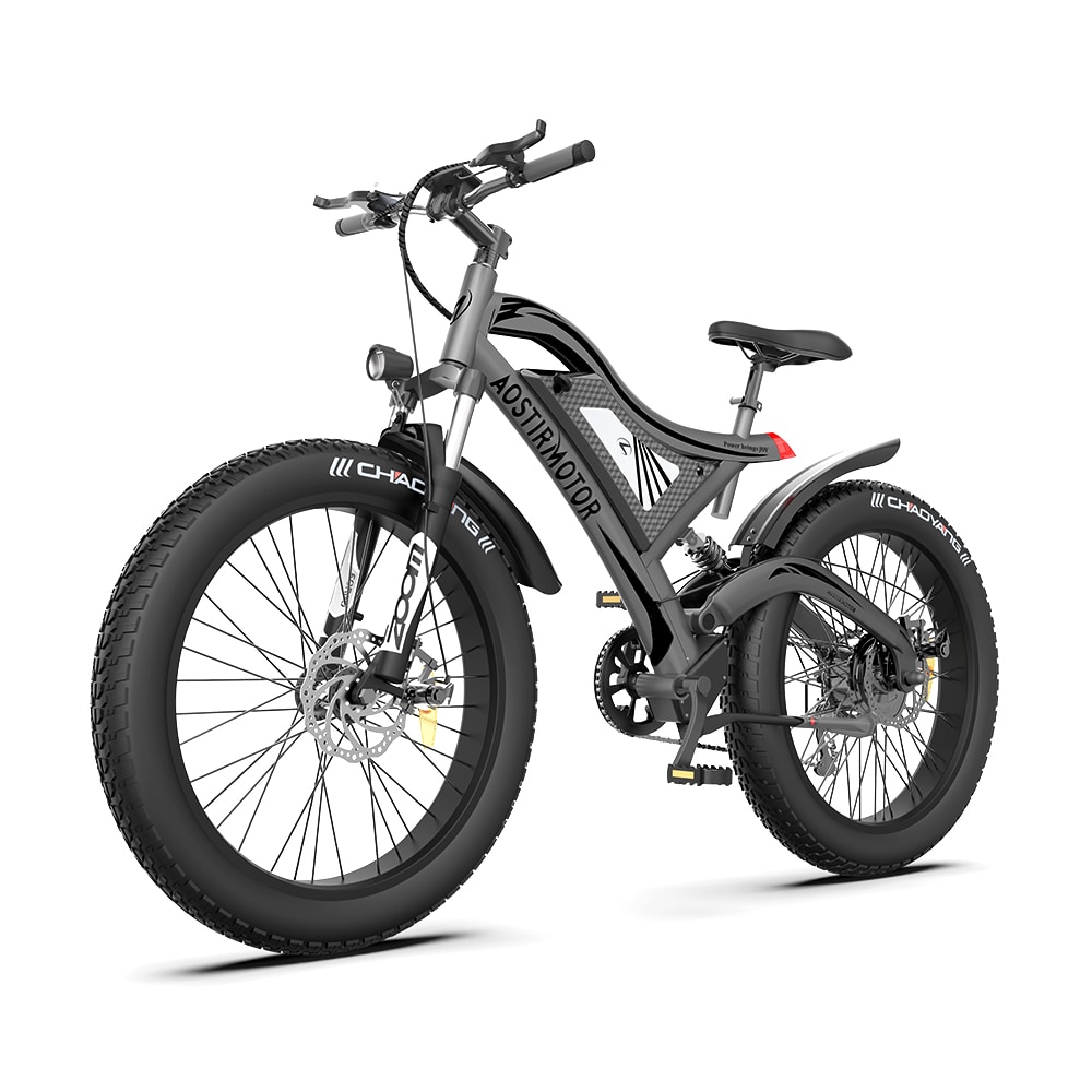 CESICIA B10055 26-in Adult unisex E-bike
