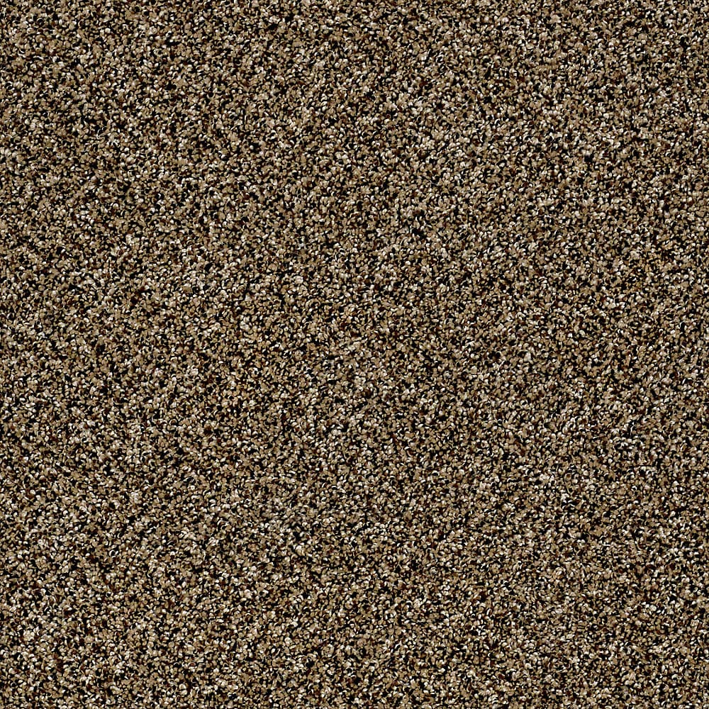 STAINMASTER S840061SANDPIPE-7519 (Sample) Essentials Palacial I Sandpiper Textured Carpet