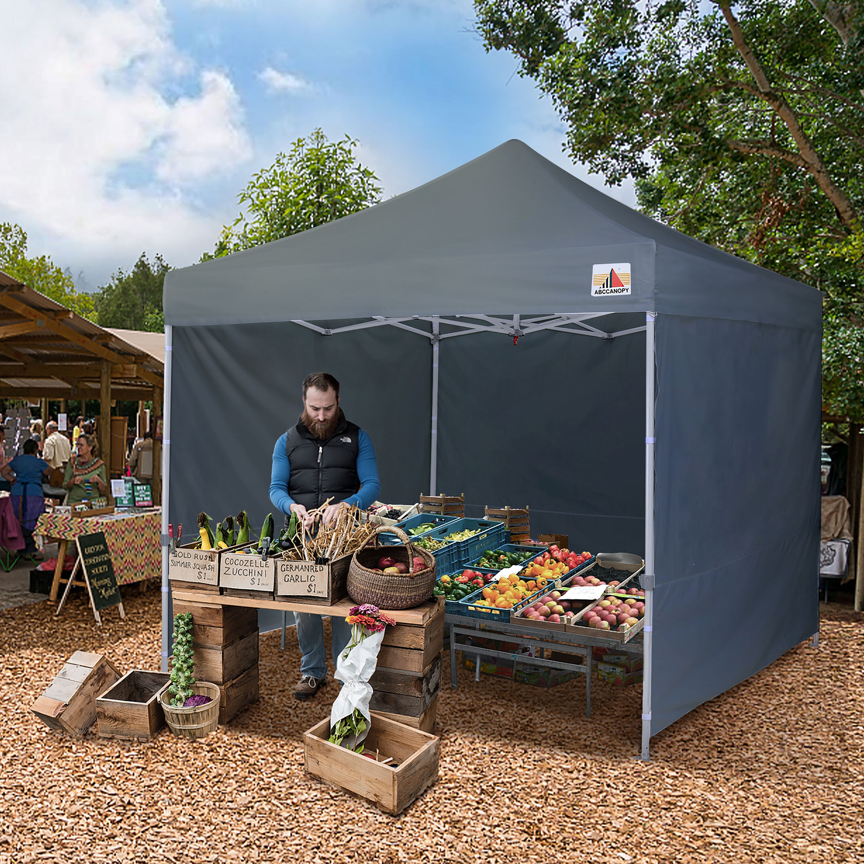 ABCCANOPY 10X10KKPKG-GRAY Canopies-Sl - View #4