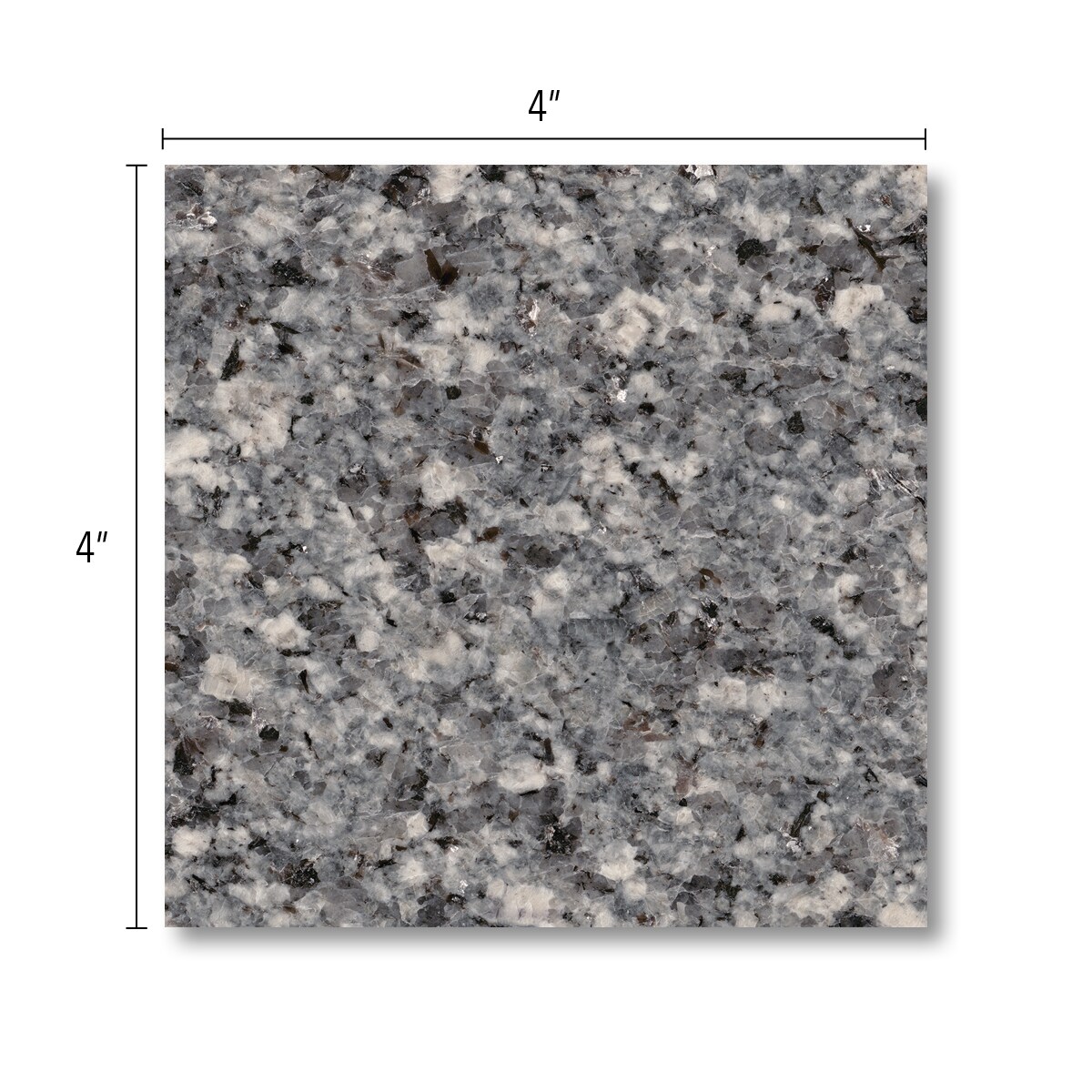 Allen + Roth Azul Platina Granite Gray Kitchen Countertop Sample (4-in x 4-in) | NG2008